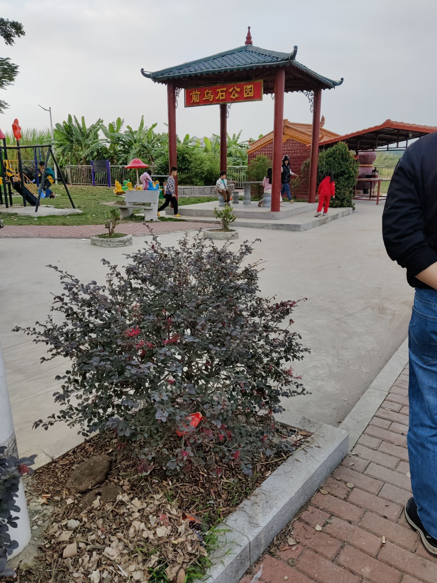 前乌石湿地公园旅行图片 1