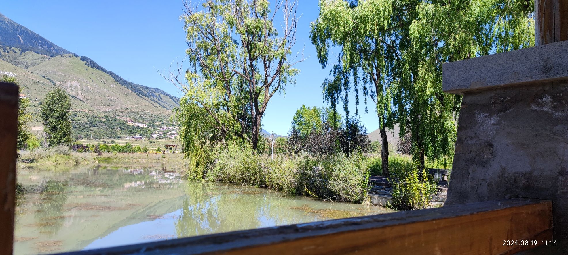 甘孜州康巴高原植物园旅行图片 1