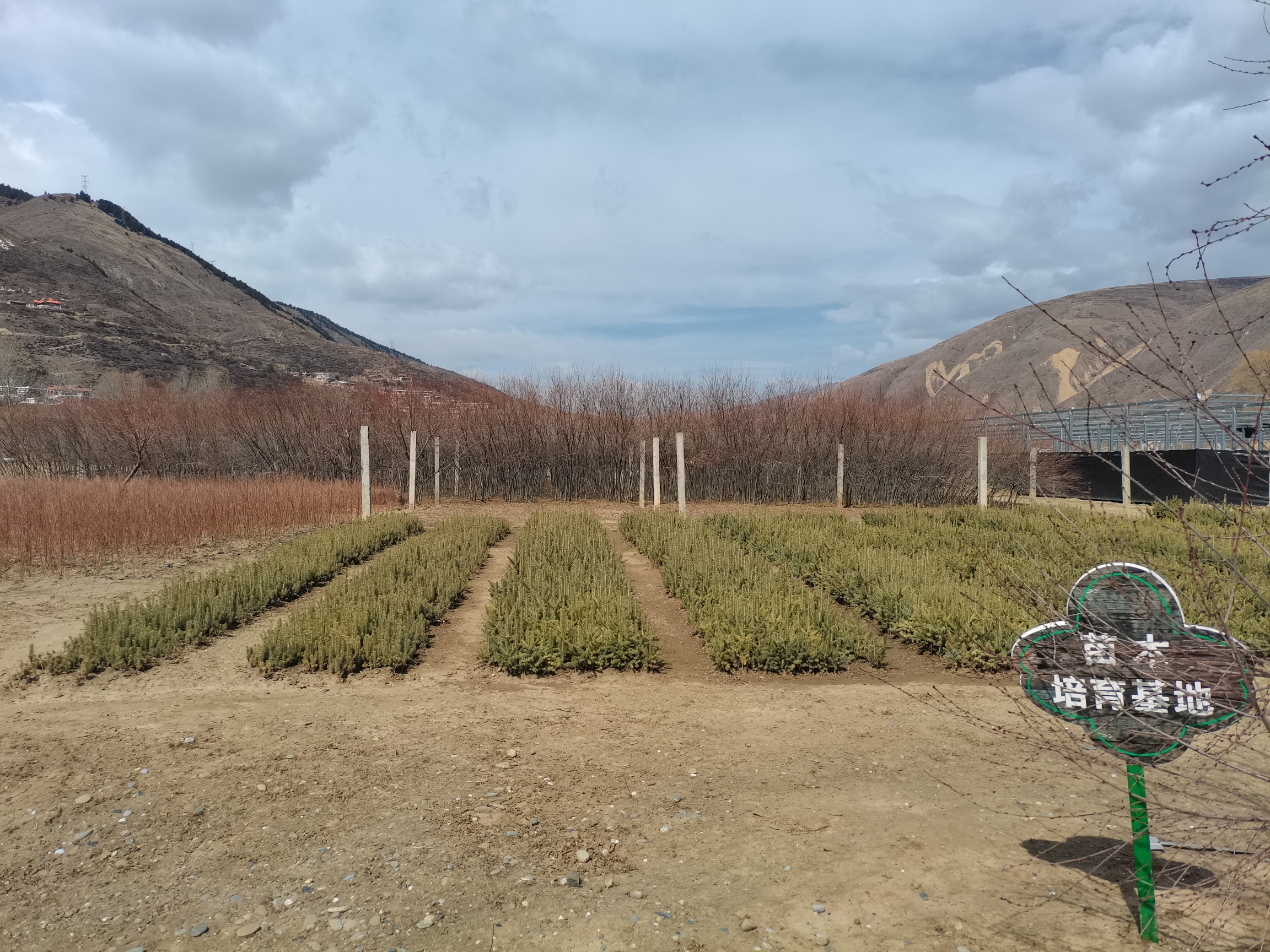 甘孜州康巴高原植物园旅行图片 2