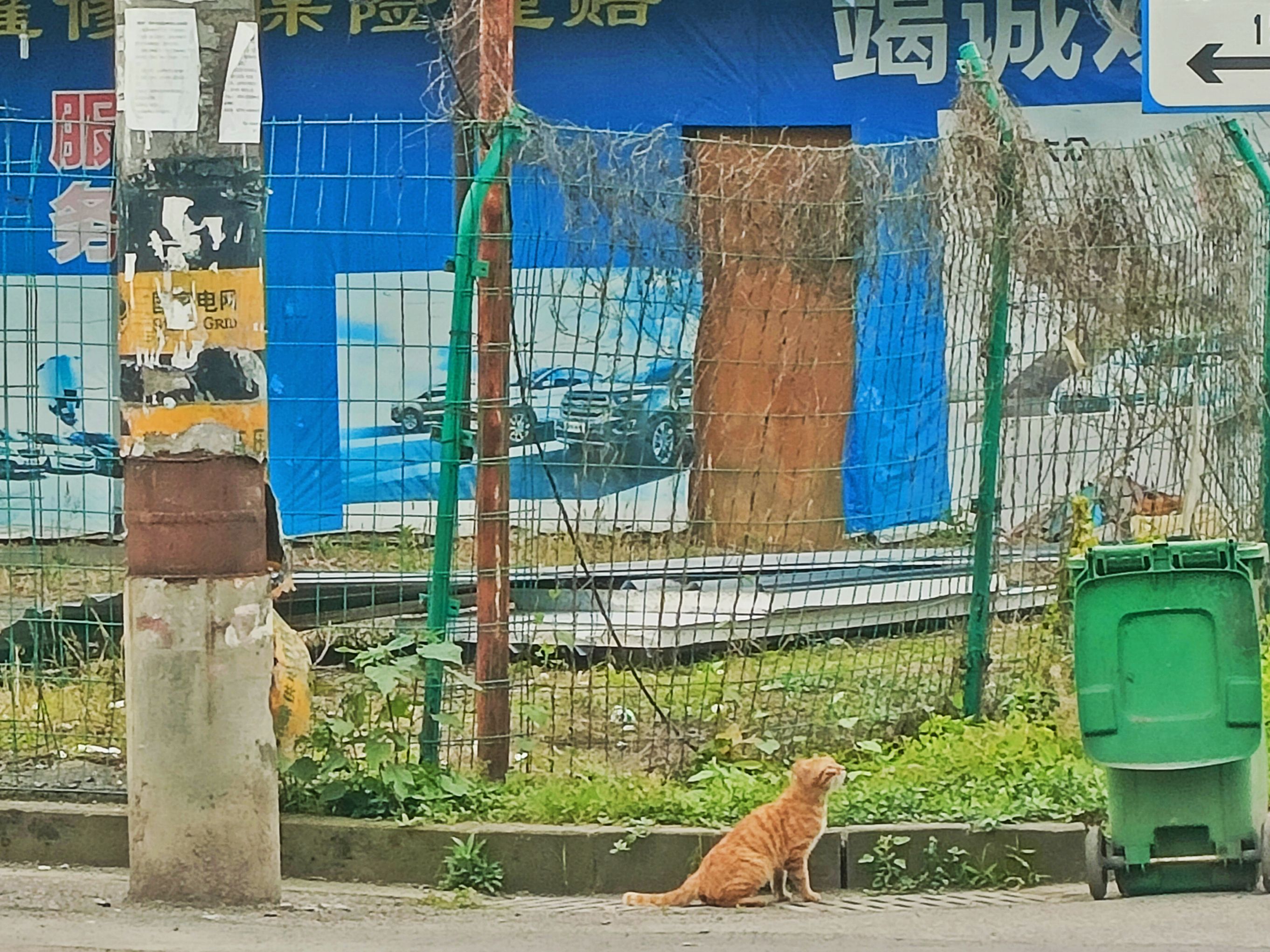 夹关古镇旅行图片 2