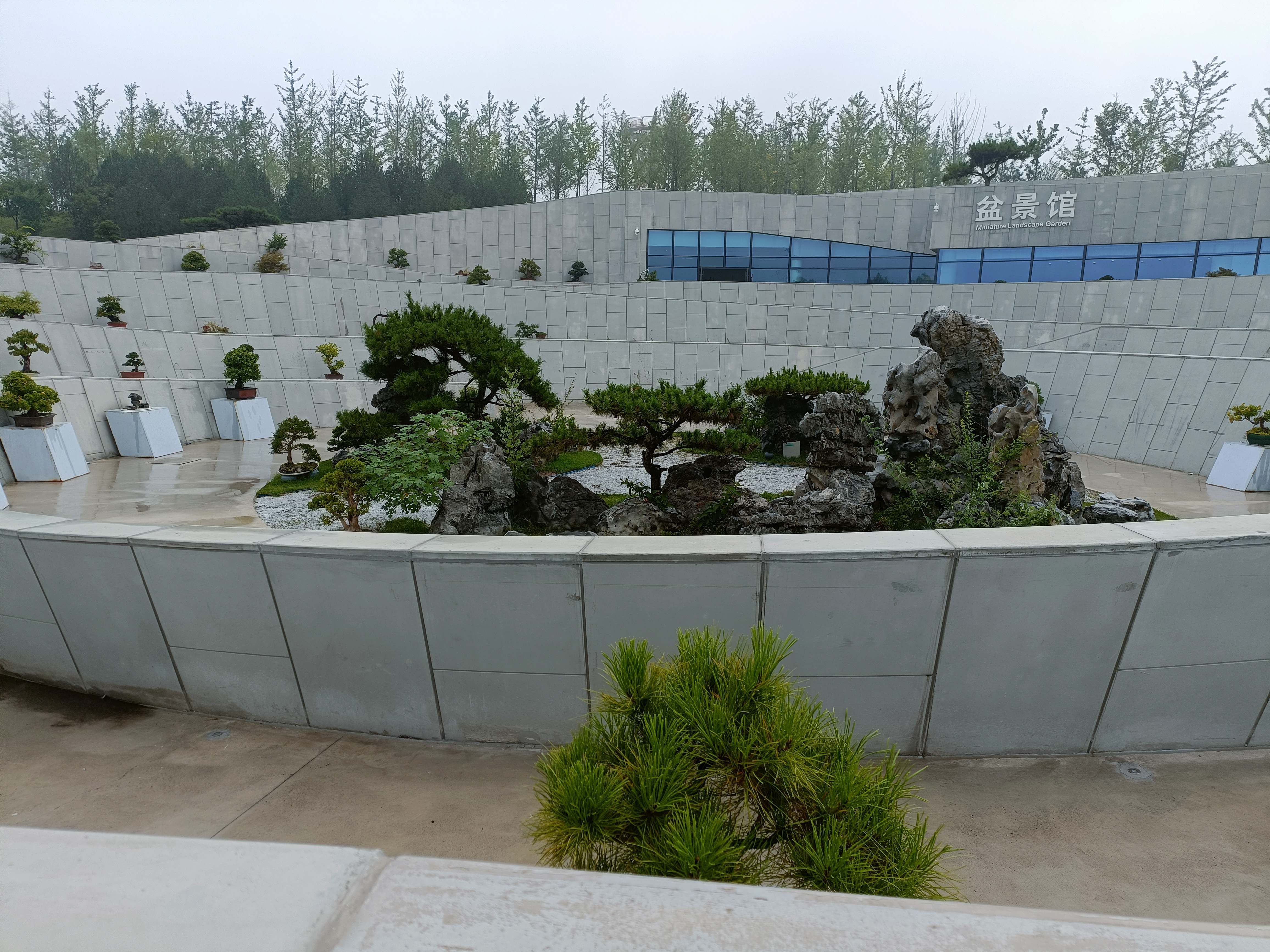 太原植物园-盆景馆