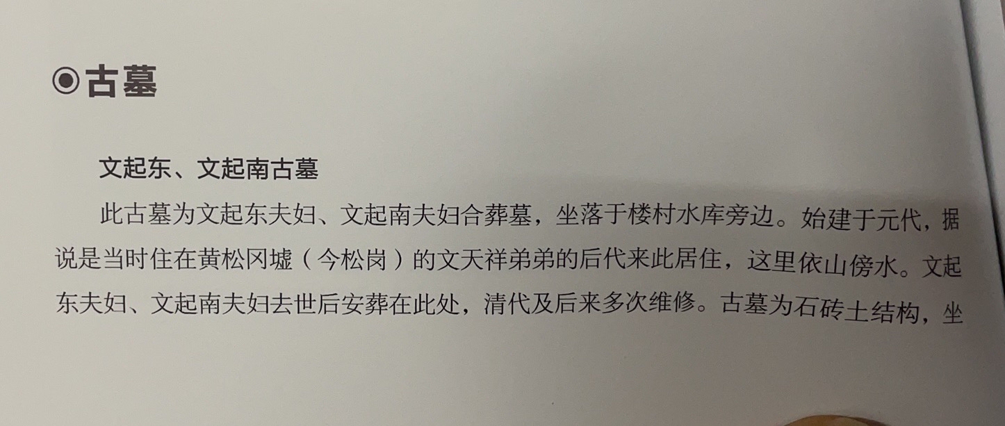 文起东古墓旅行图片 1