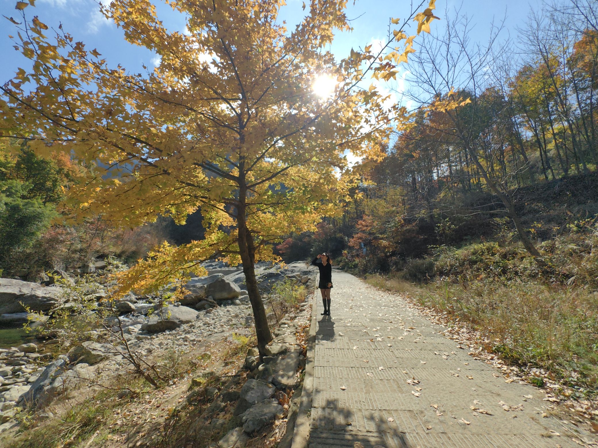画石谷景区