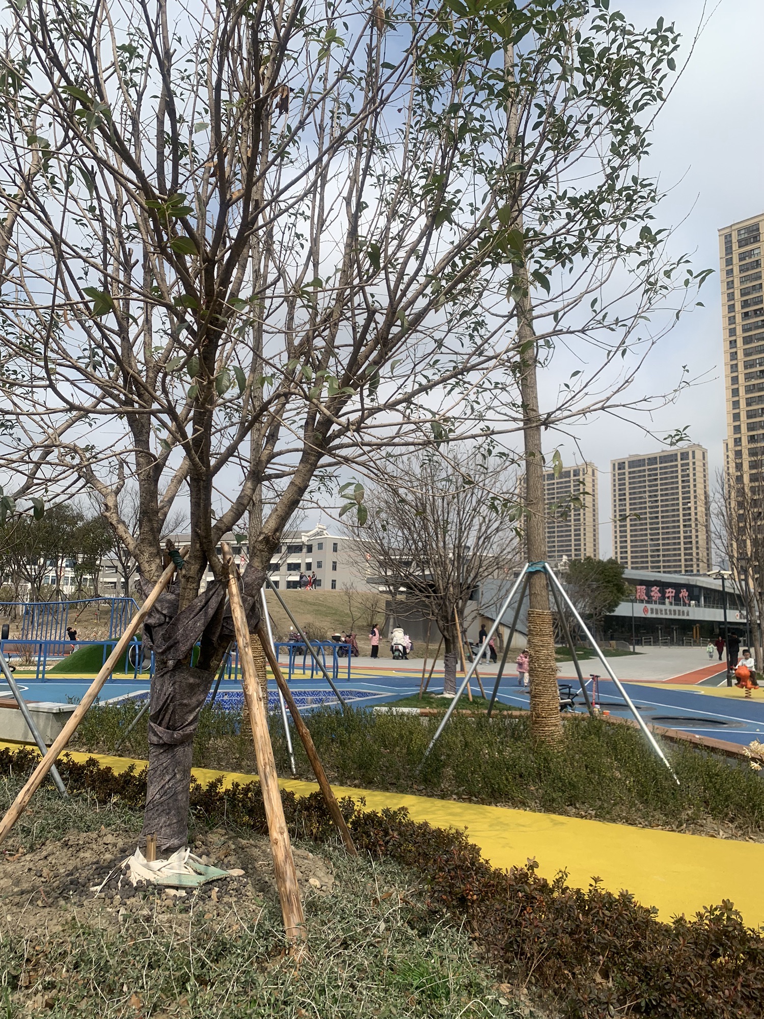 长江路人防公园旅行图片 2