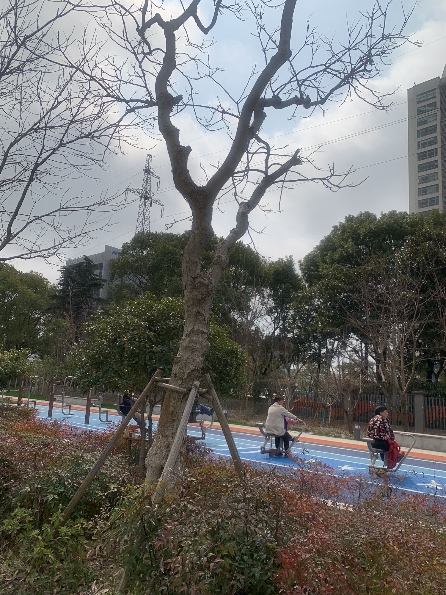 长江路人防公园旅行图片 3