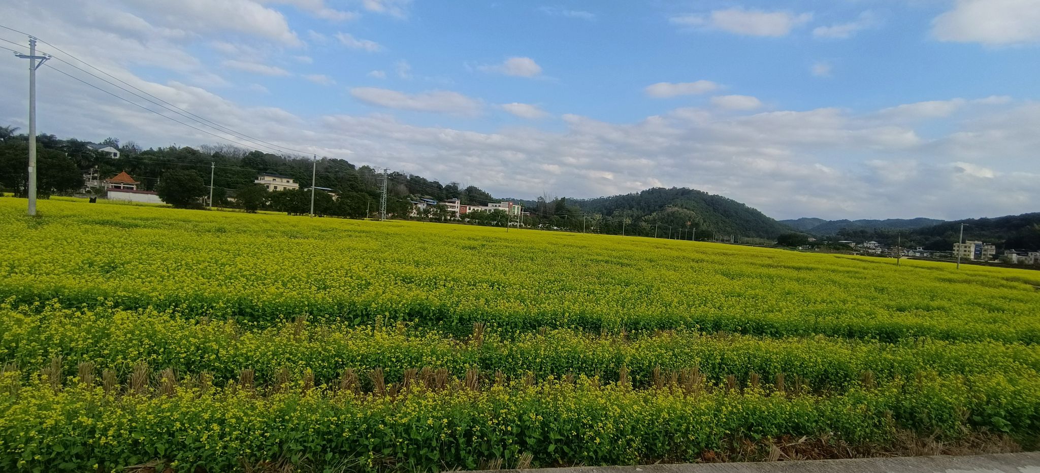 南口侨乡亲子农场旅行图片 2