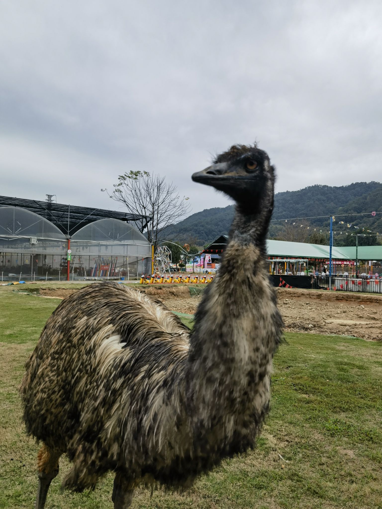 南口侨乡亲子农场旅行图片 2