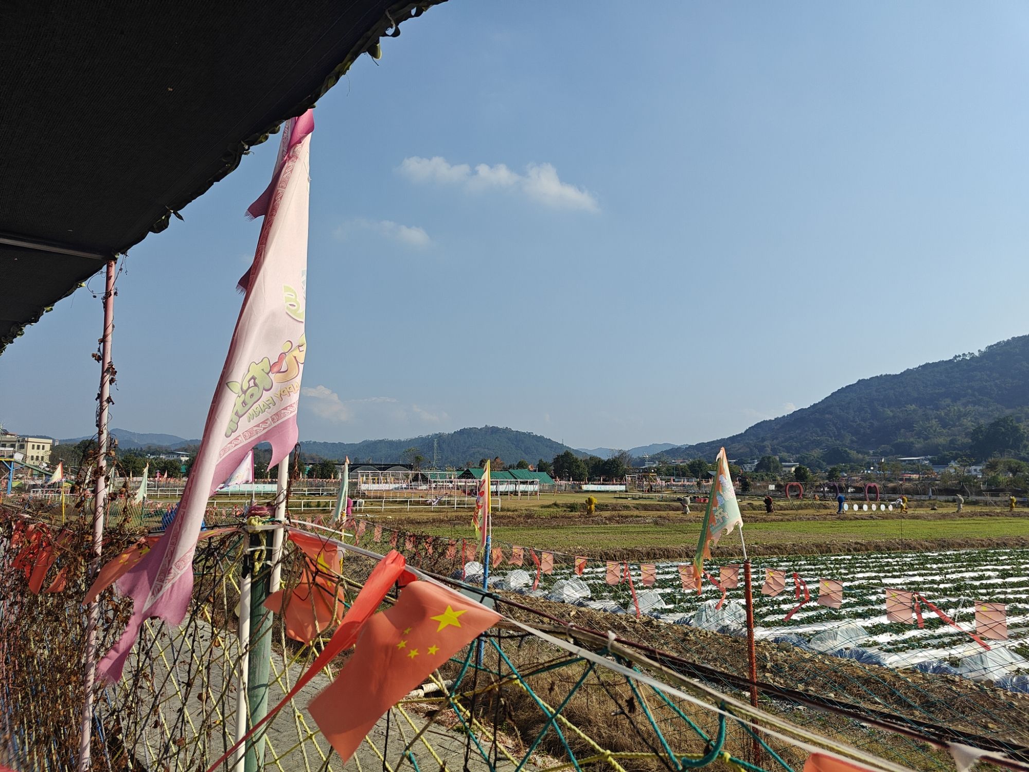 南口侨乡亲子农场旅行图片 3