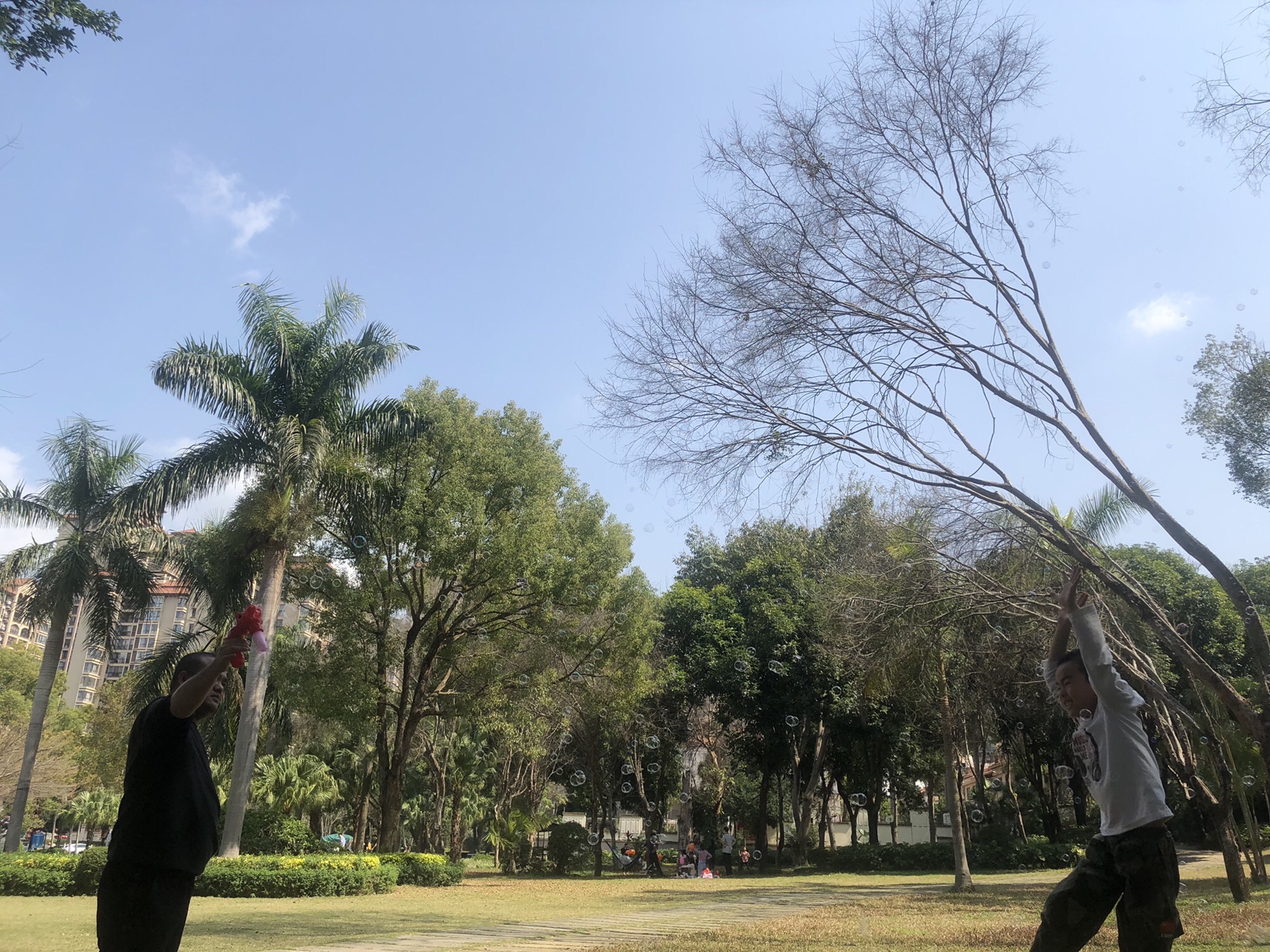 南口侨乡亲子农场旅行图片 1