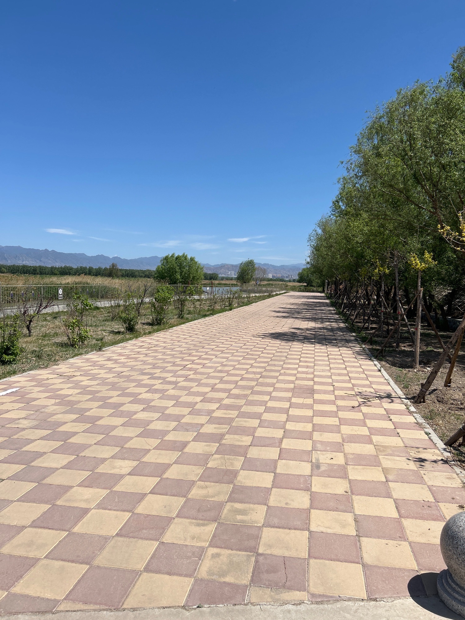 三河湿地公园旅行图片 2