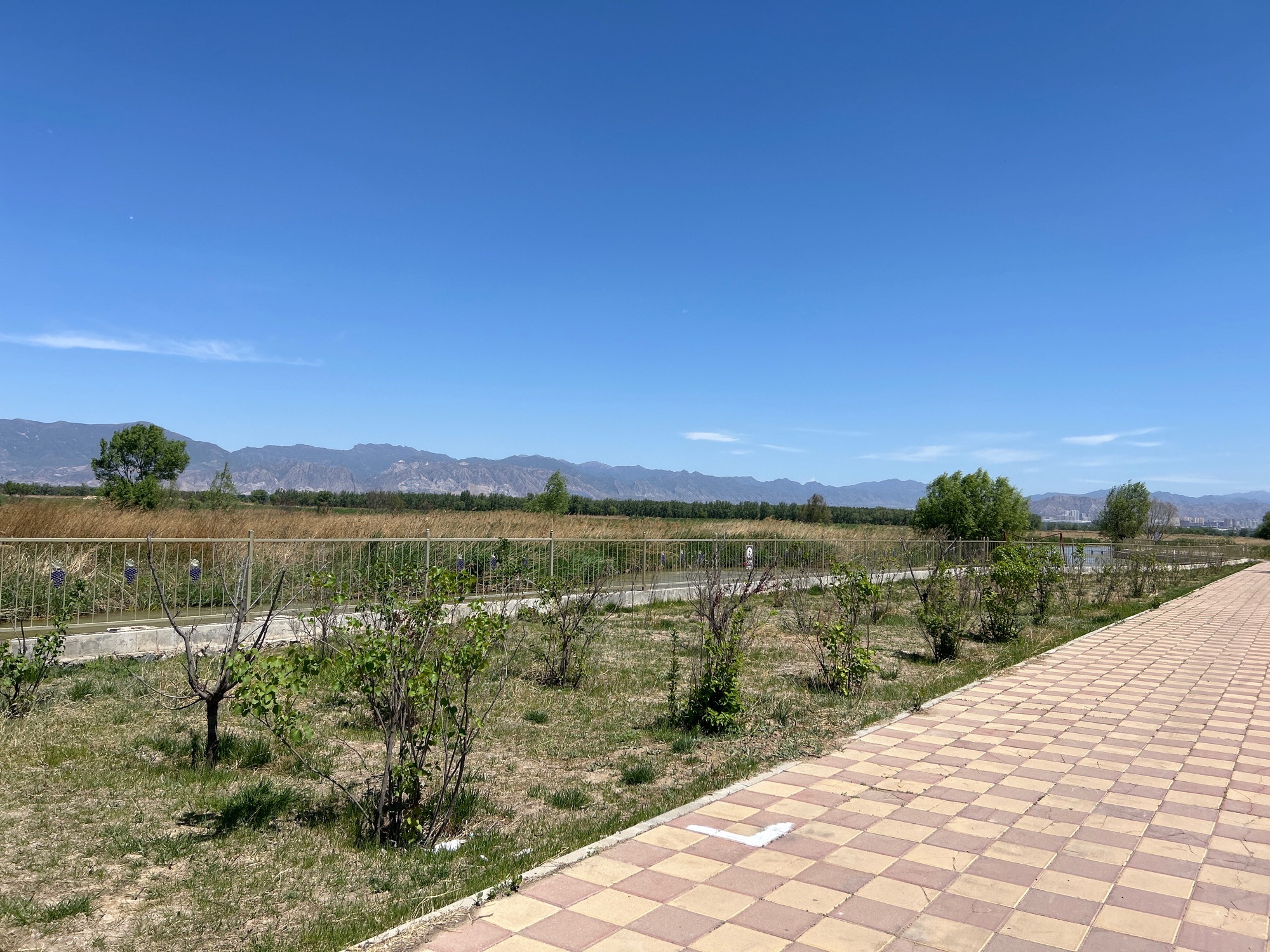 三河湿地公园旅行图片 3