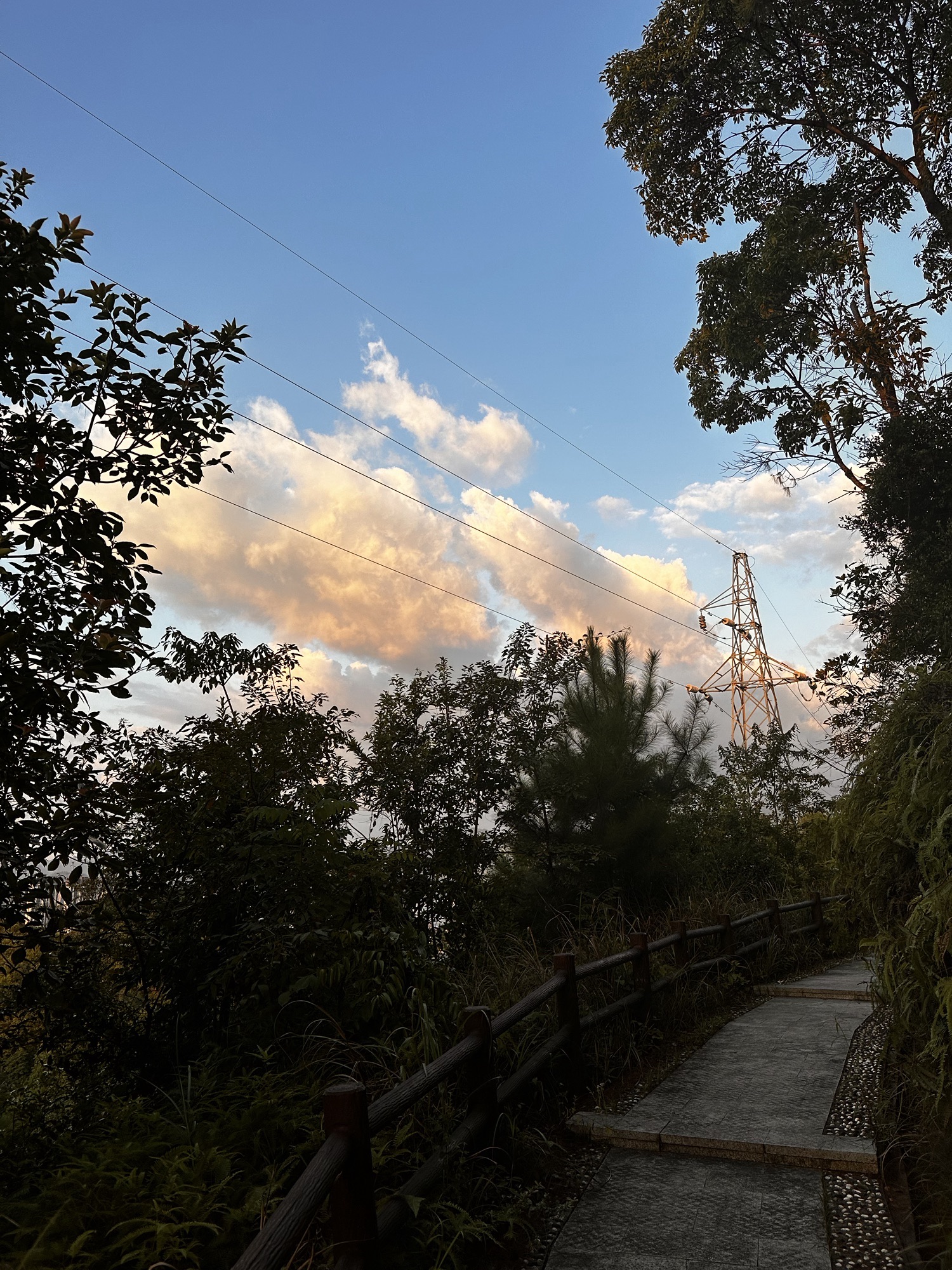 九龙山公园旅行图片 3