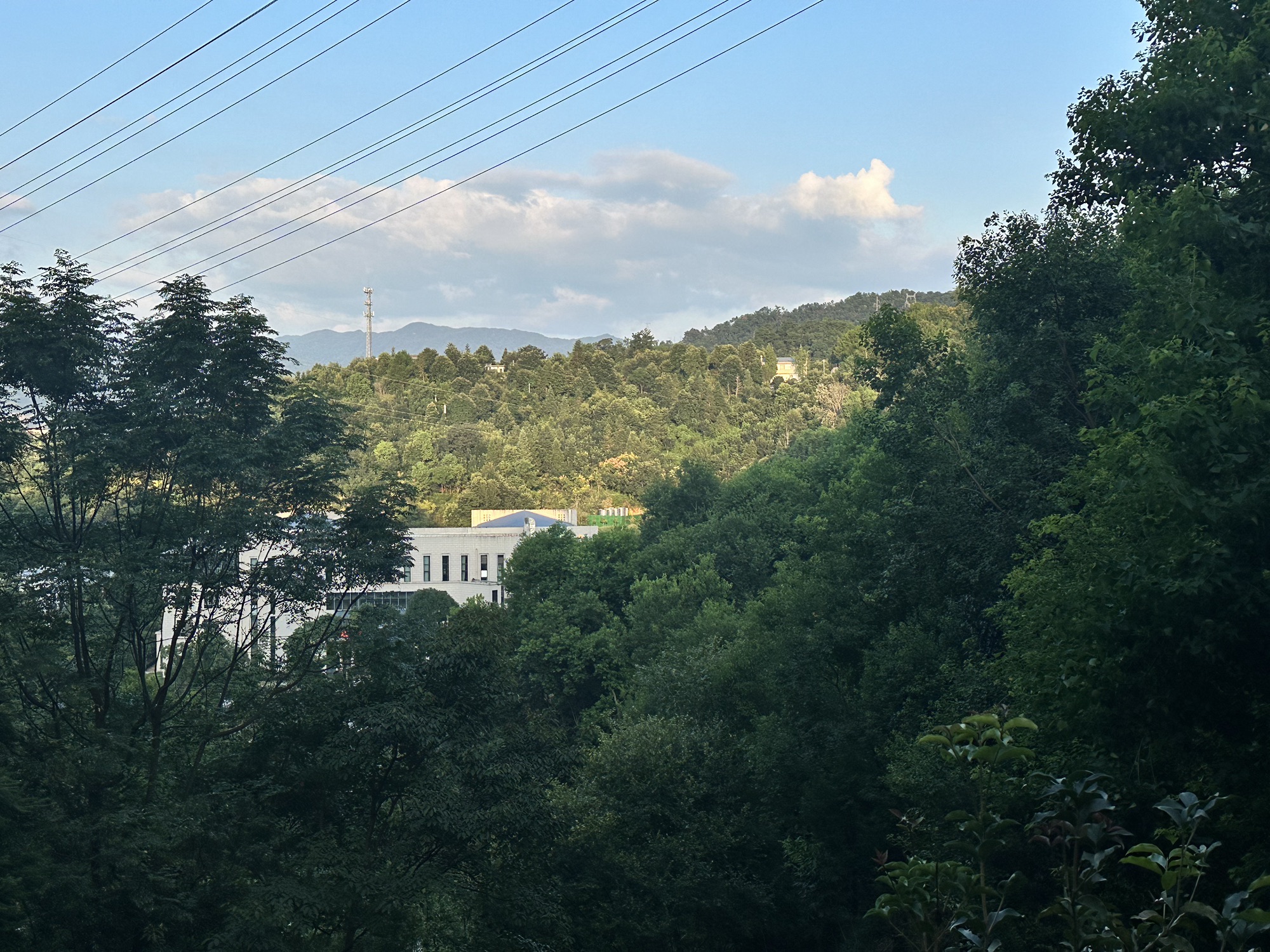九龙山公园旅行图片 1