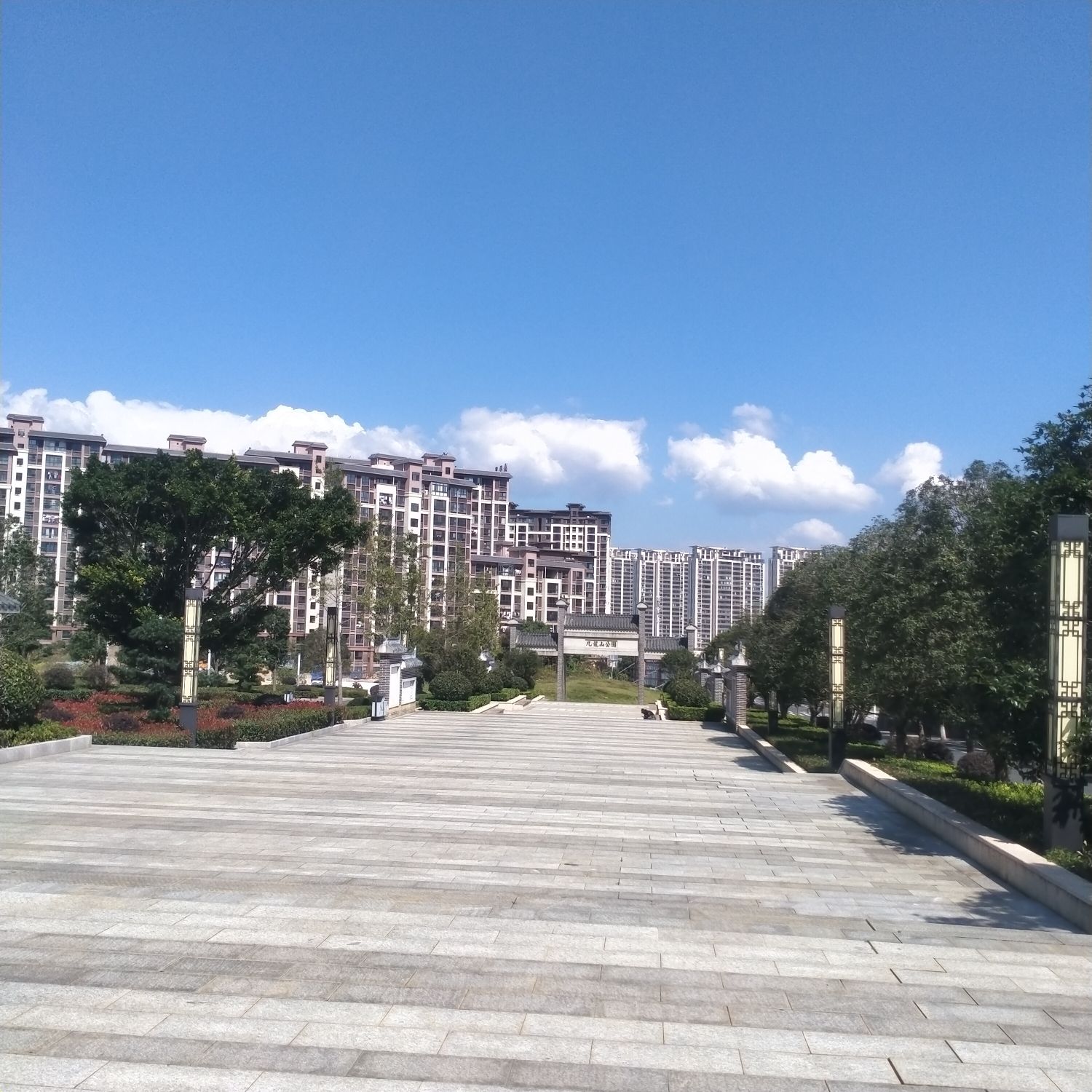 九龙山公园旅行图片 2