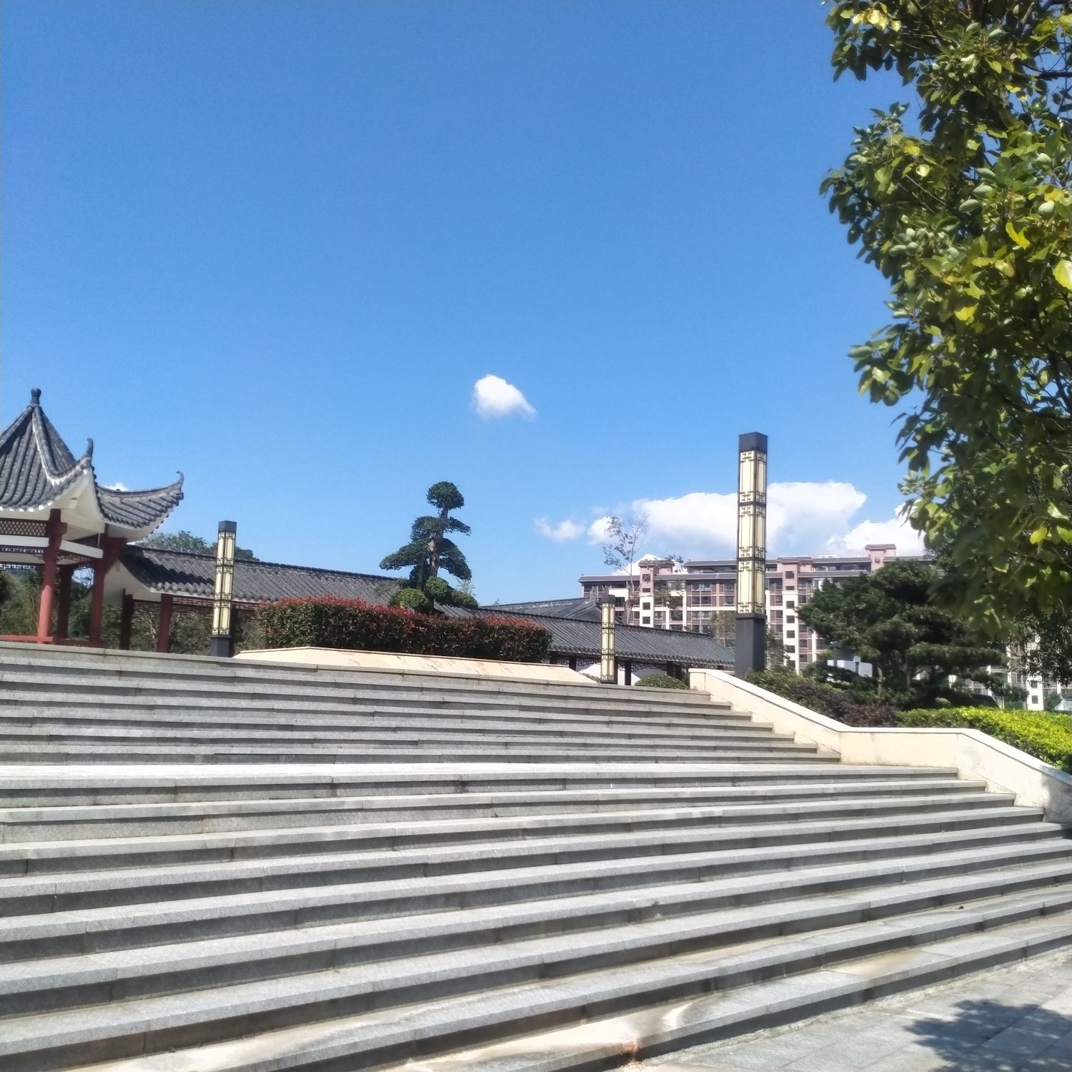 九龙山公园旅行图片 3