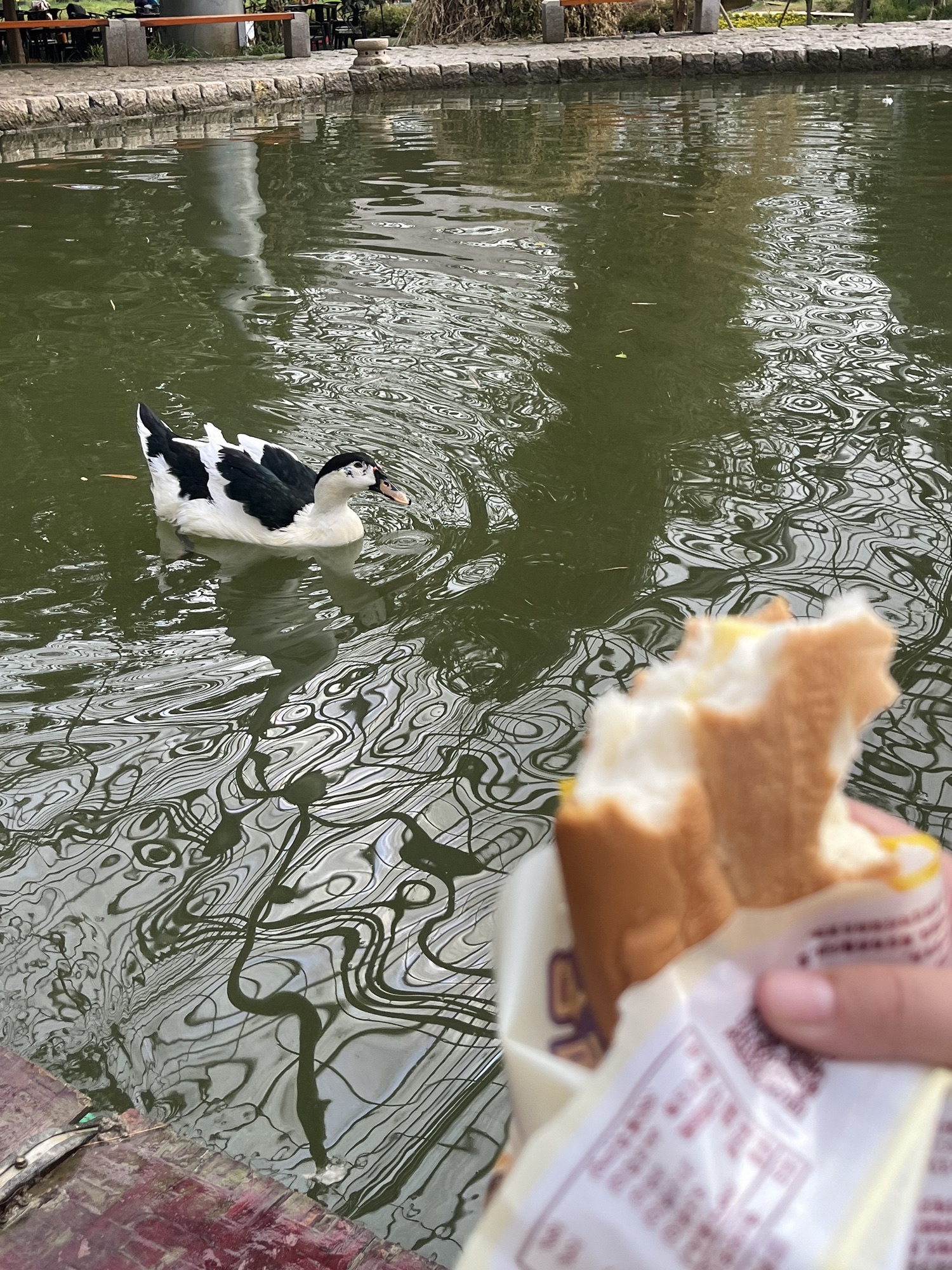 九州伊甸园旅行图片 3