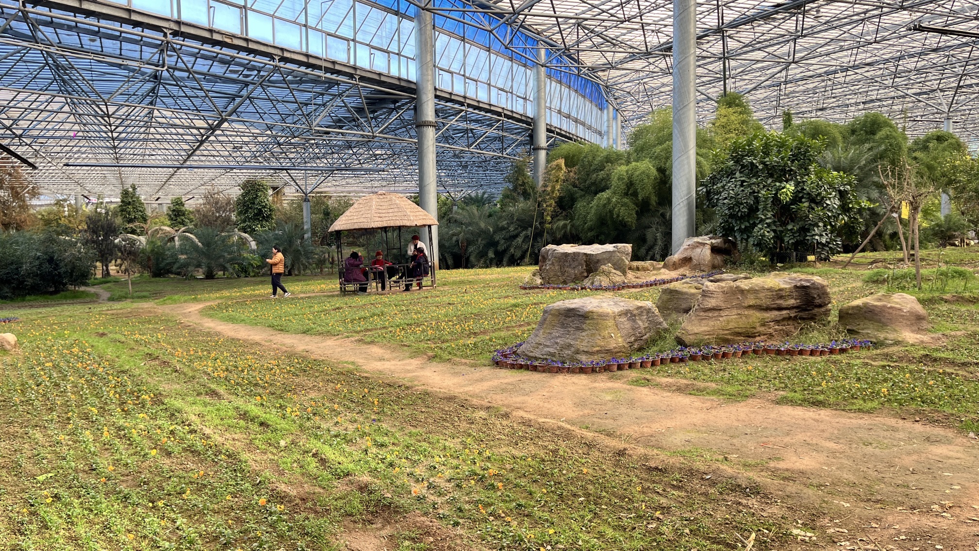 九州伊甸园旅行图片 3