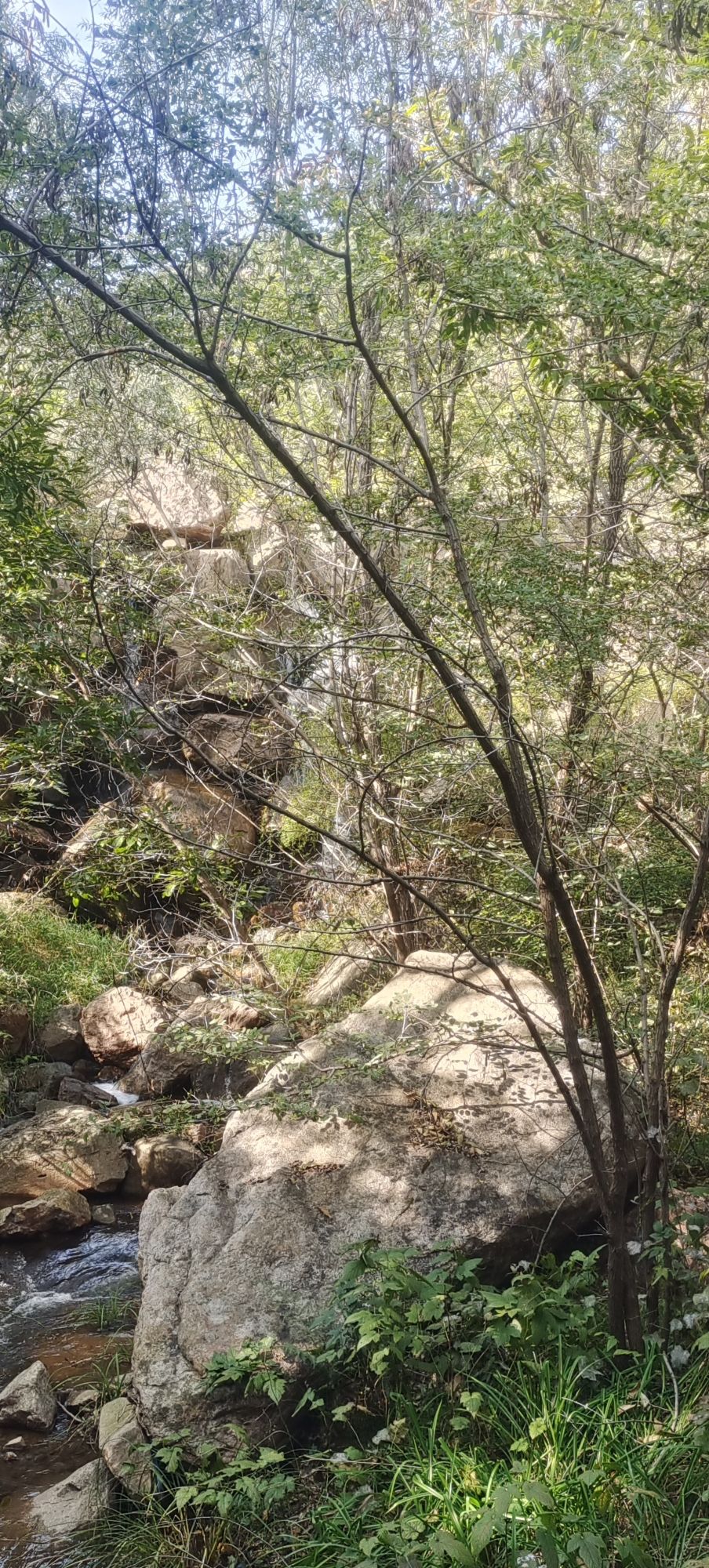 大泽山高家钓鱼台瀑布旅行图片 2