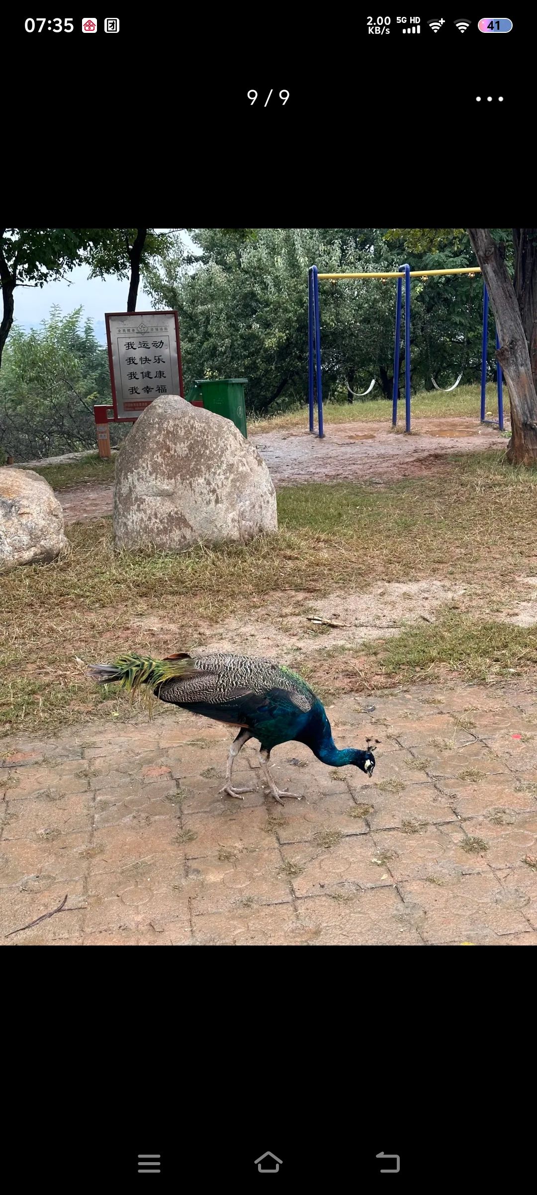 香鹿山凤凰谷旅行图片 1