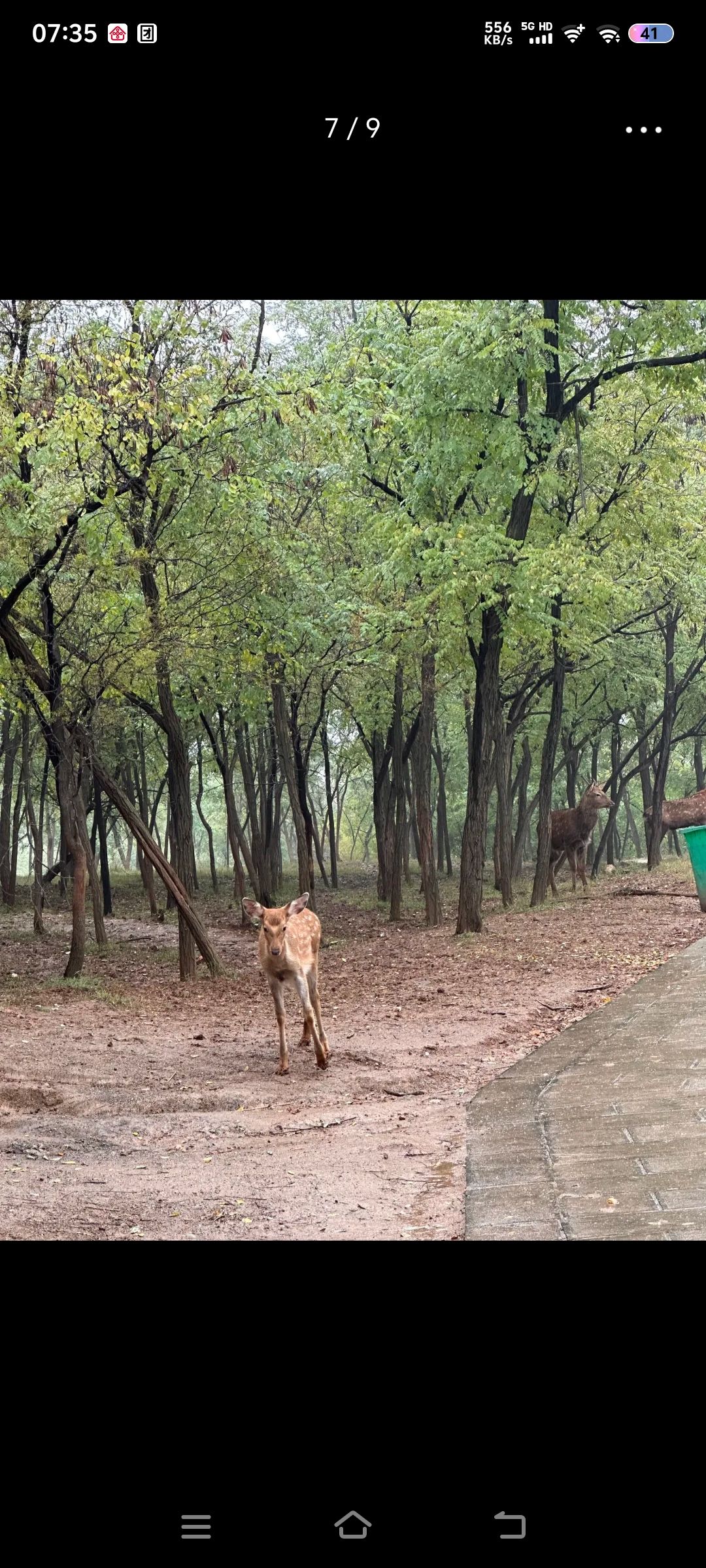 香鹿山凤凰谷旅行图片 2