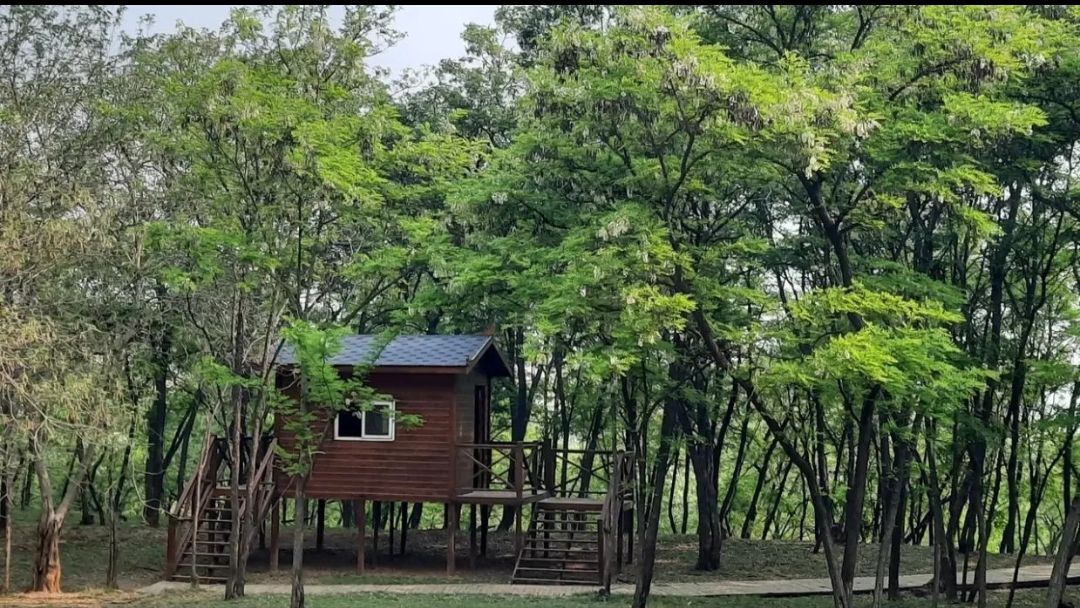 香鹿山凤凰谷旅行图片 2
