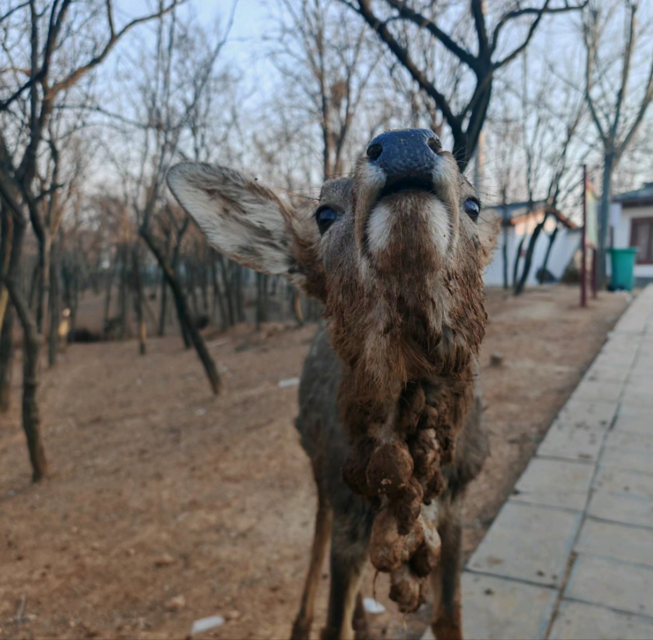 香鹿山凤凰谷旅行图片 2