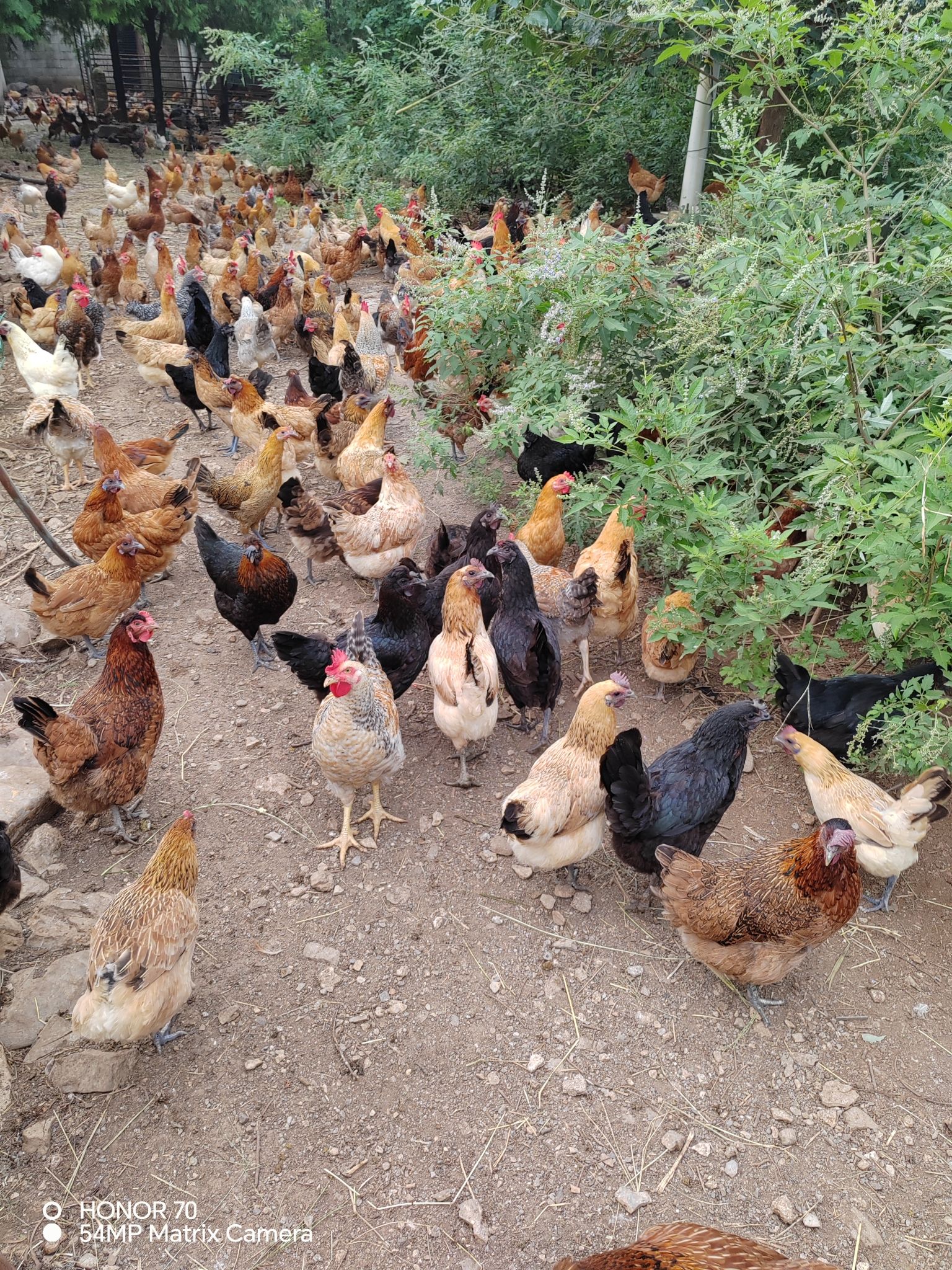 育之宝生态有机农场