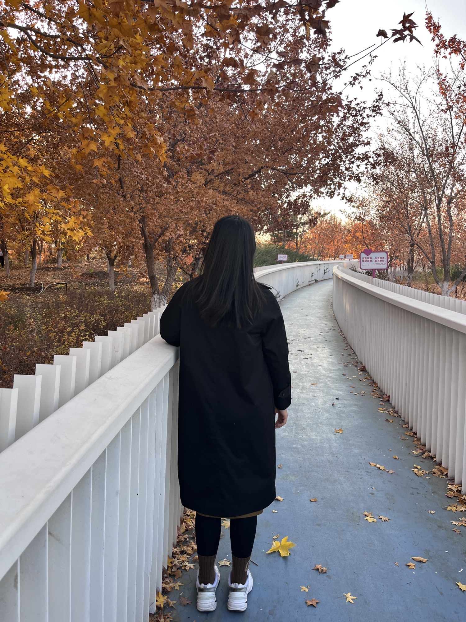 乌兰哈达公园旅行图片 1