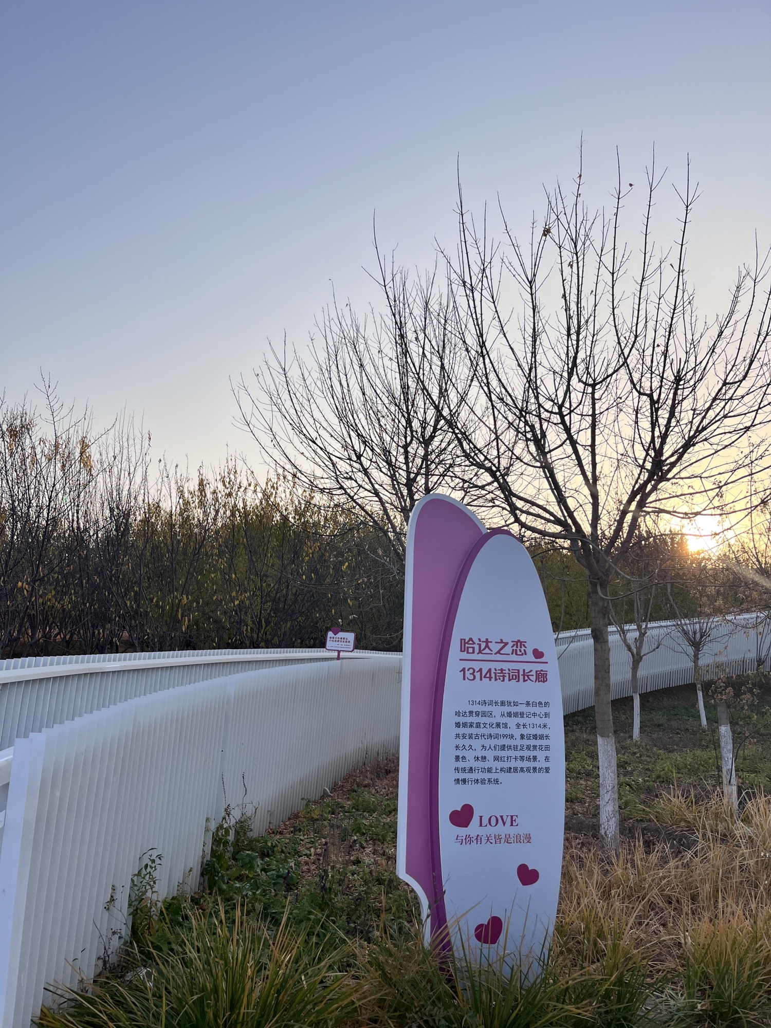 乌兰哈达公园旅行图片 3