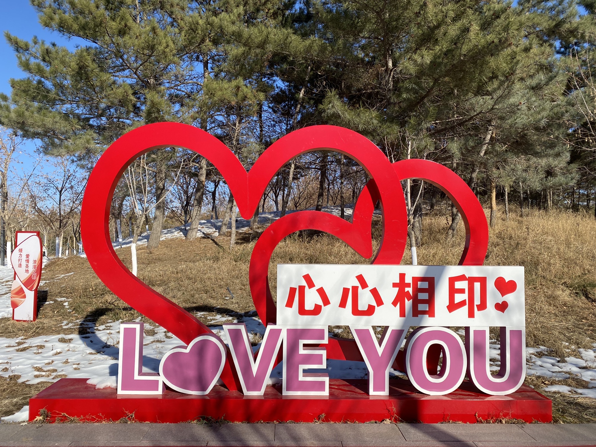 乌兰哈达公园旅行图片 3