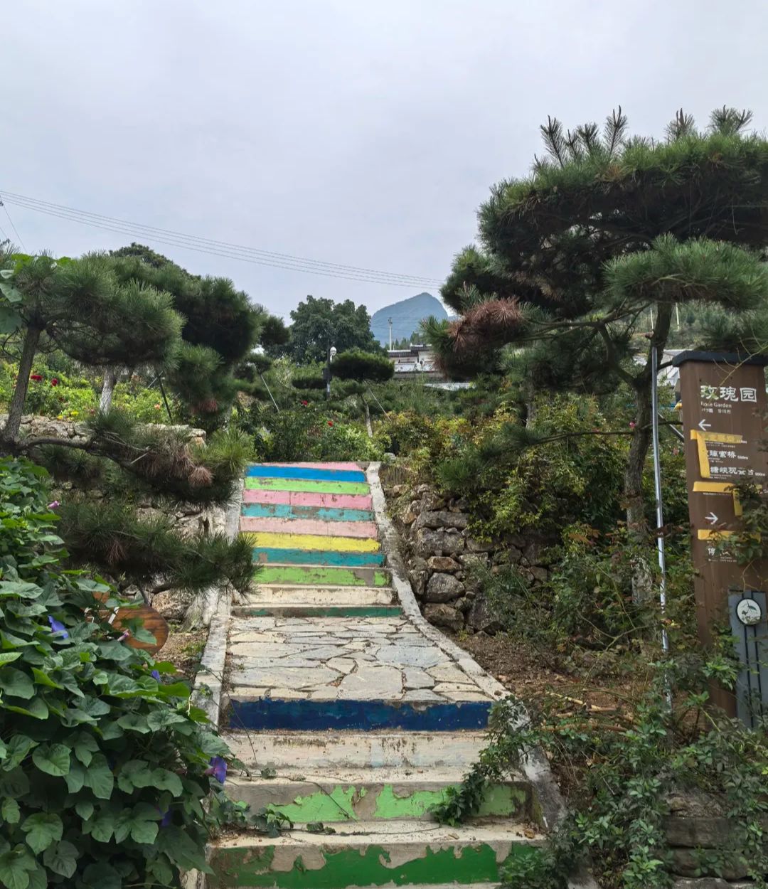 三峡第一村旅行图片 1