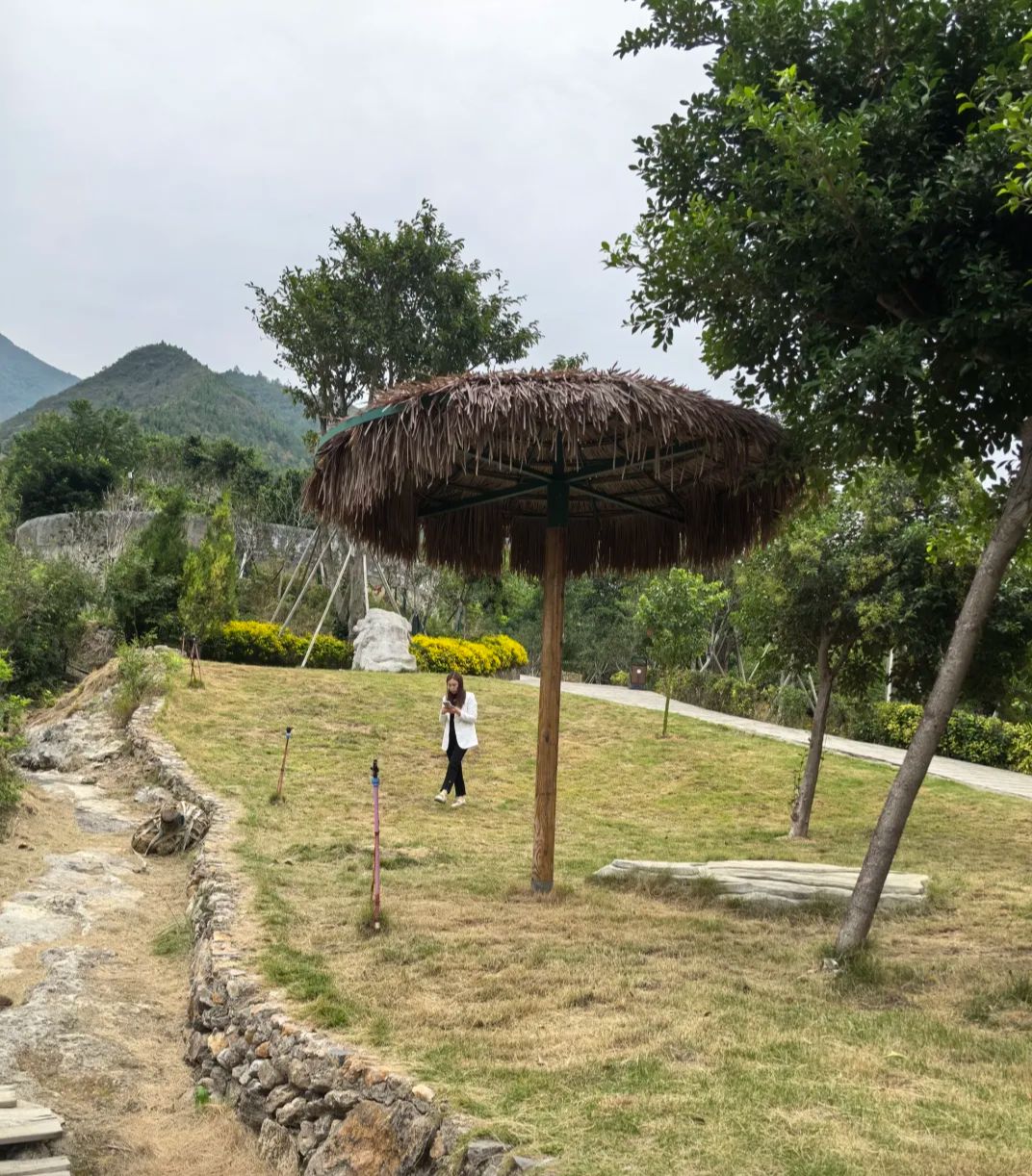 三峡第一村旅行图片 2