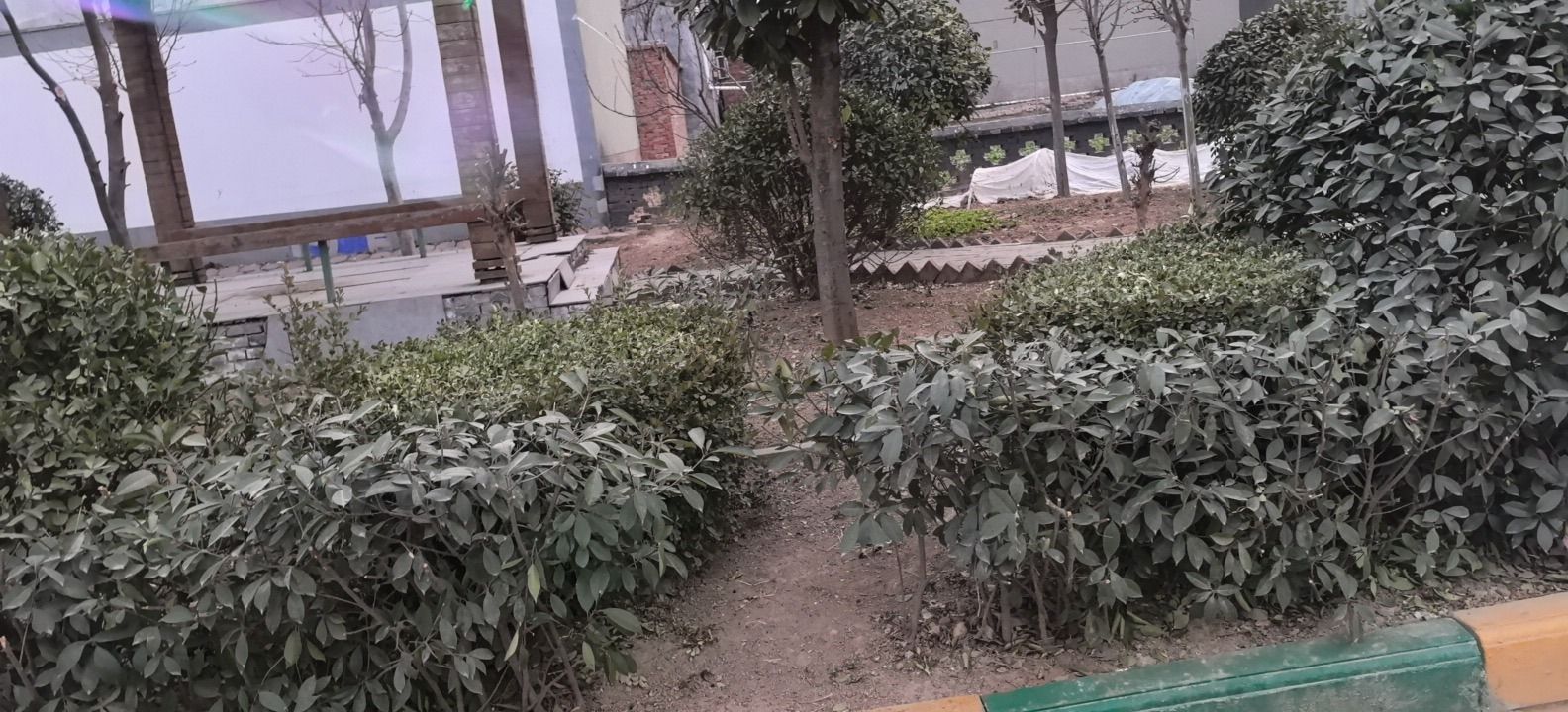 辛庄村游园旅行图片 2