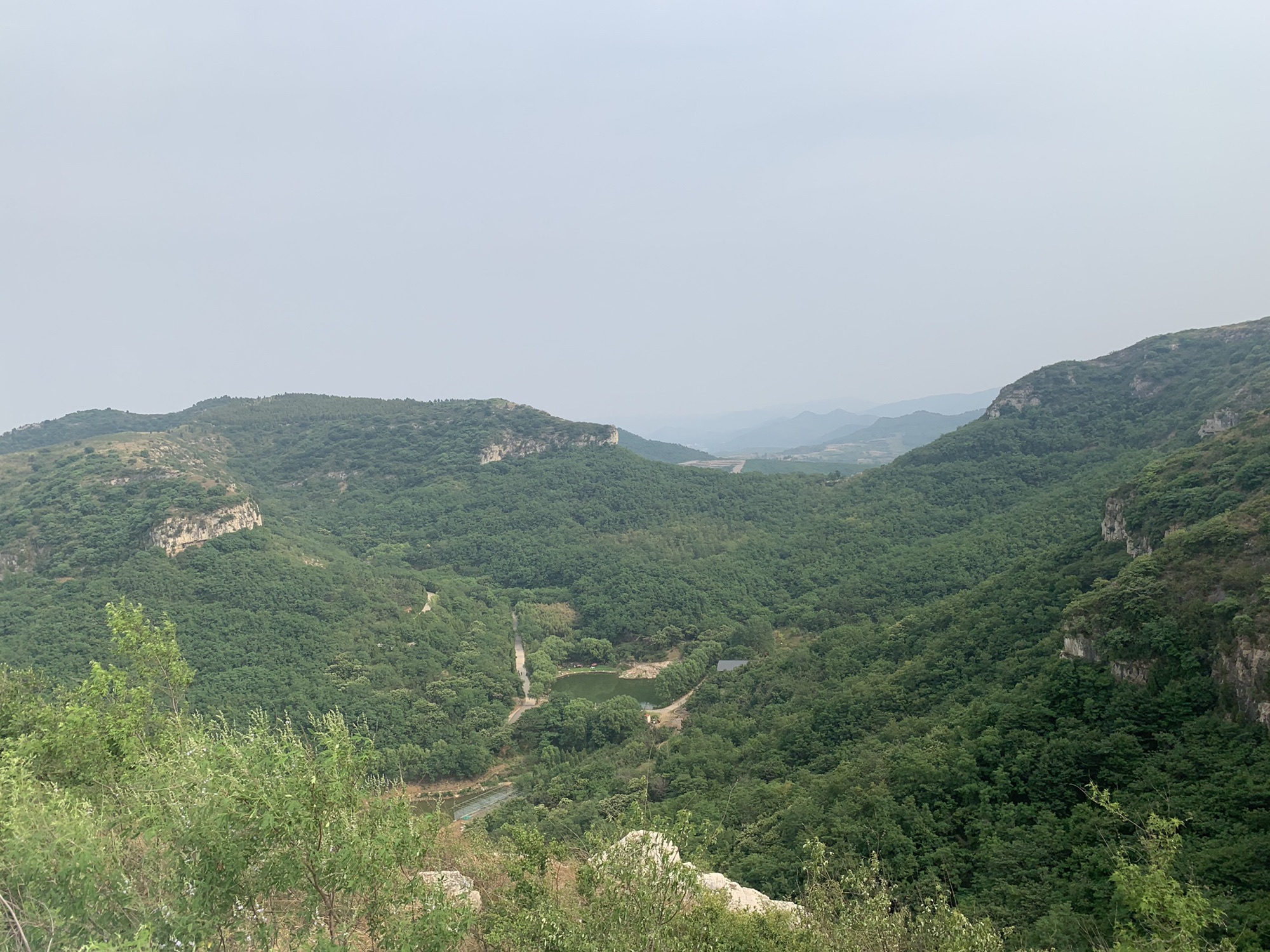 恒信薰衣草小镇旅行图片 1