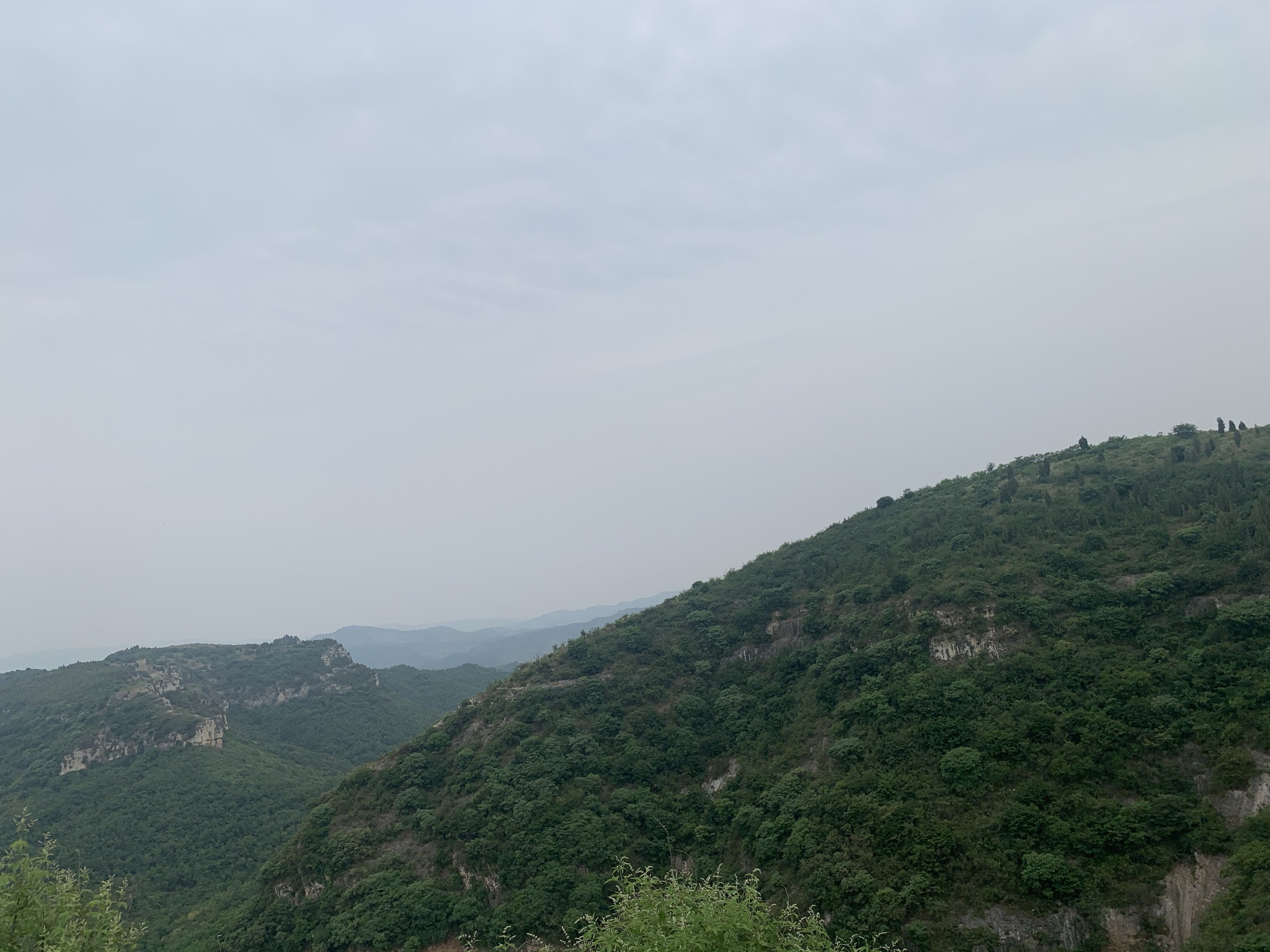 恒信薰衣草小镇旅行图片 2