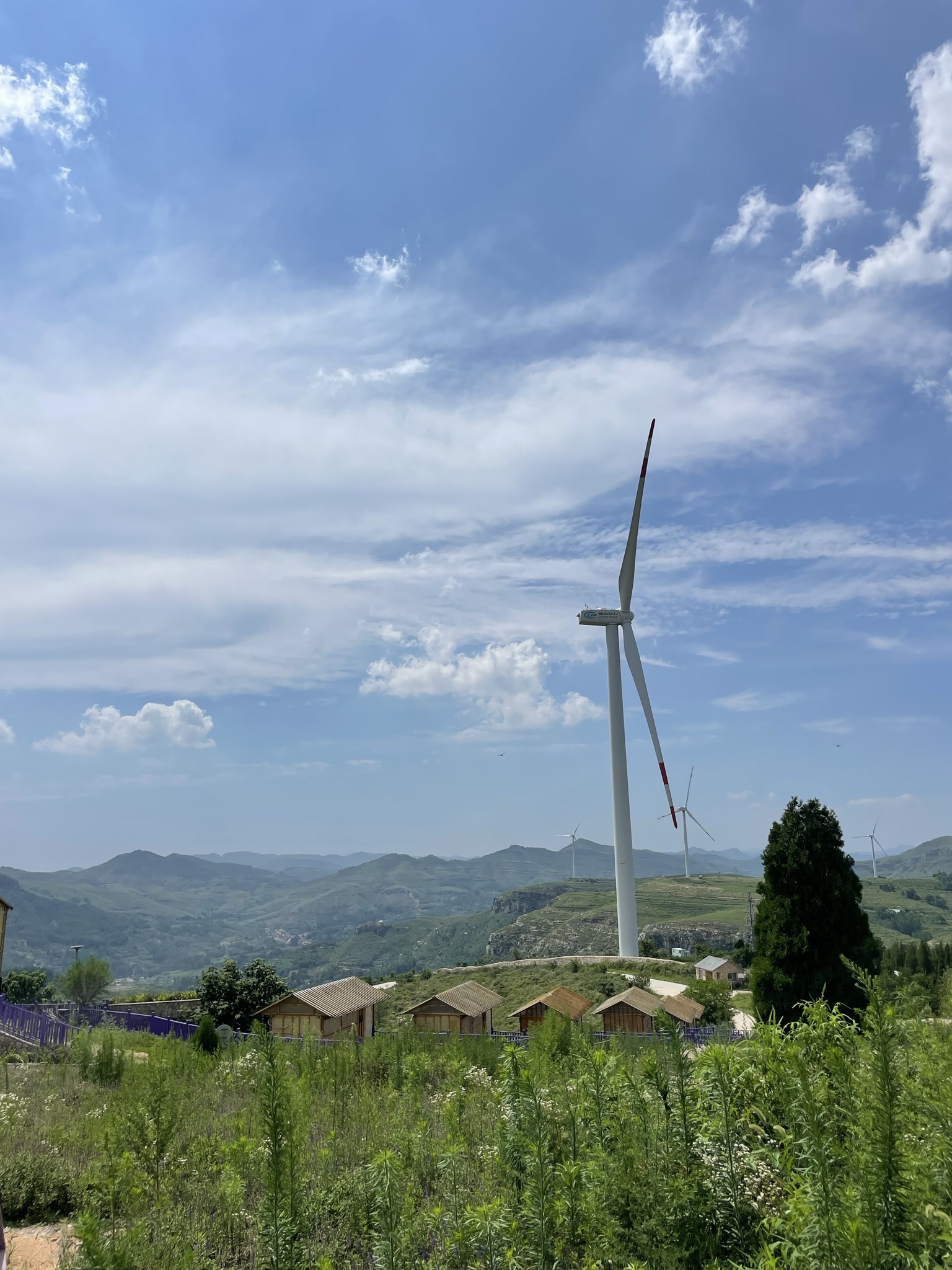 恒信薰衣草小镇旅行图片 1