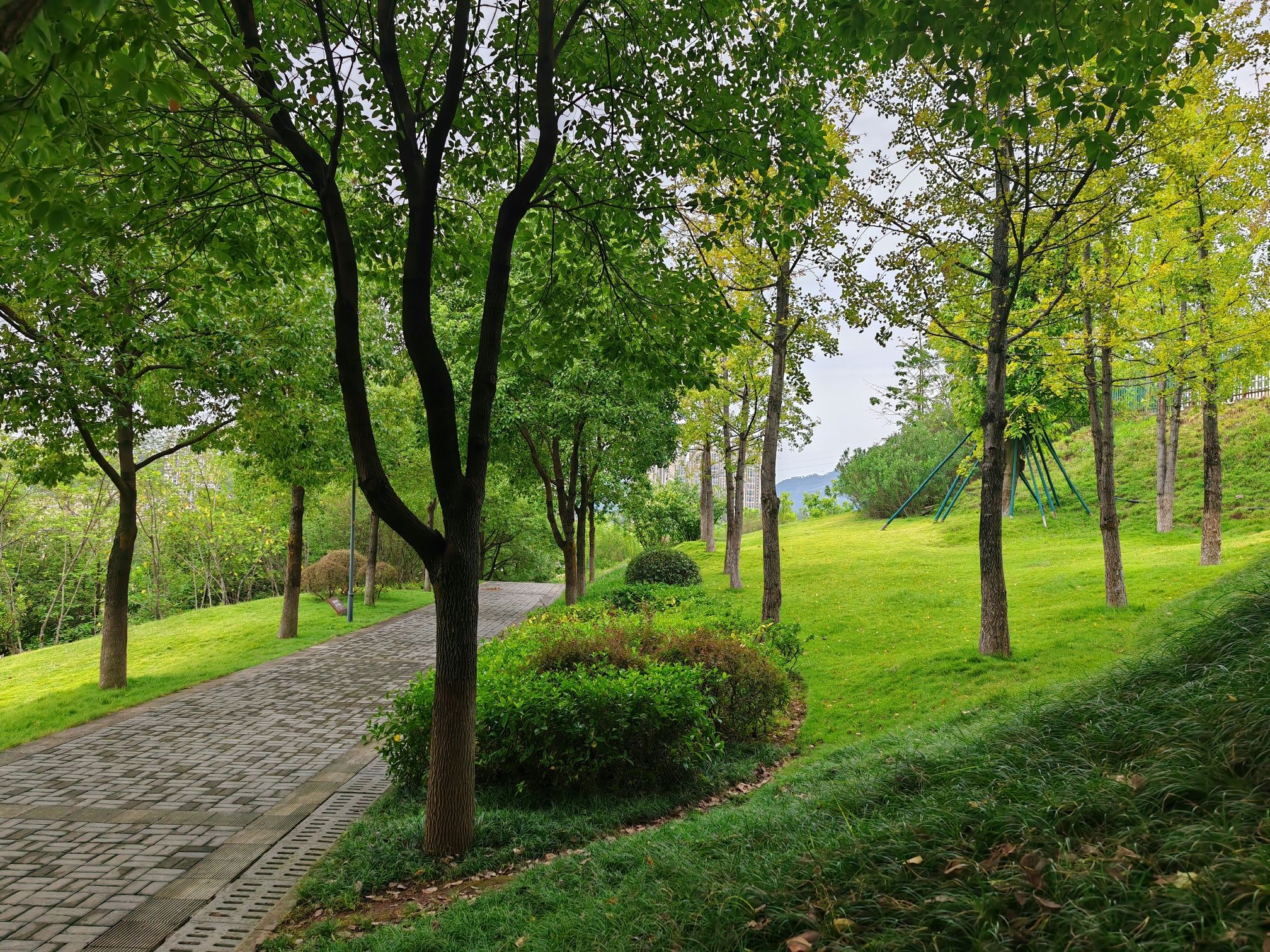 江津区圣泉公园旅行图片 2