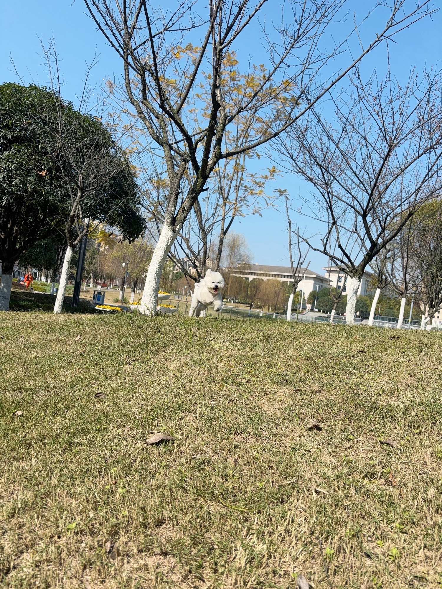 江津区圣泉公园旅行图片 3