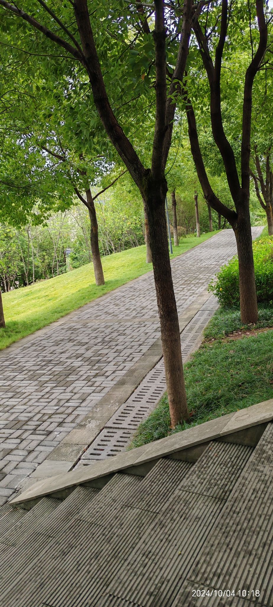 江津区圣泉公园旅行图片 3