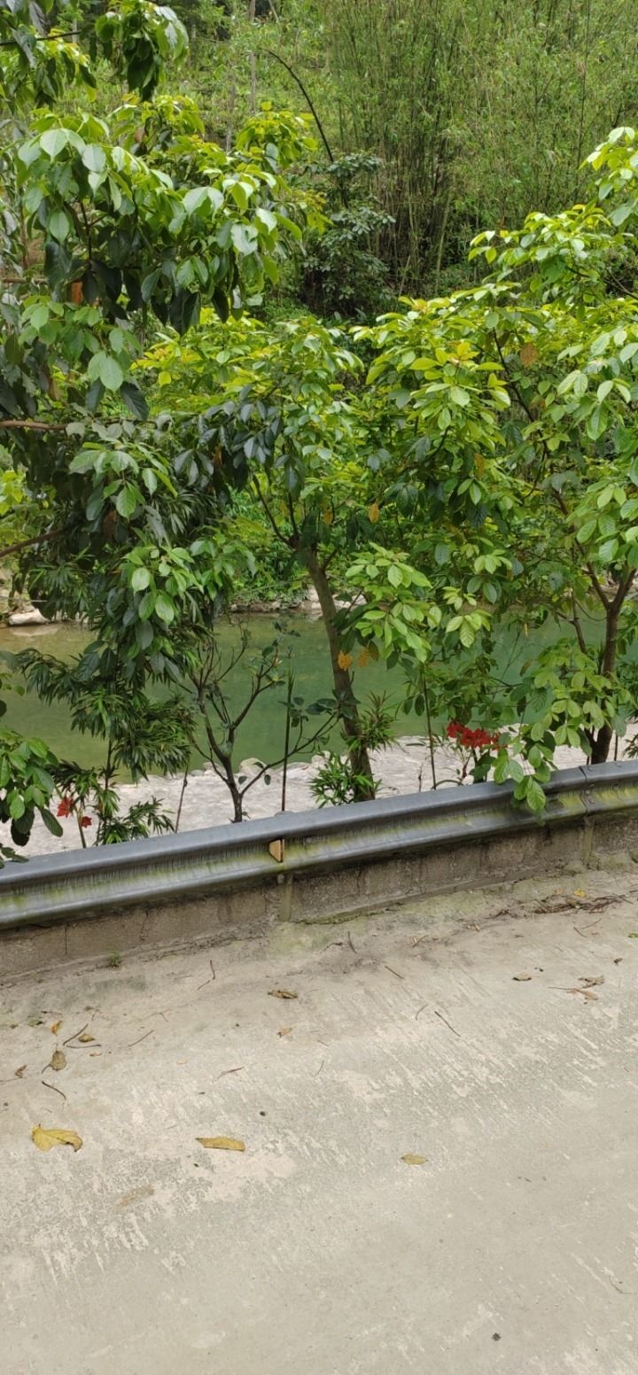 大明山-河边庄景区旅行图片