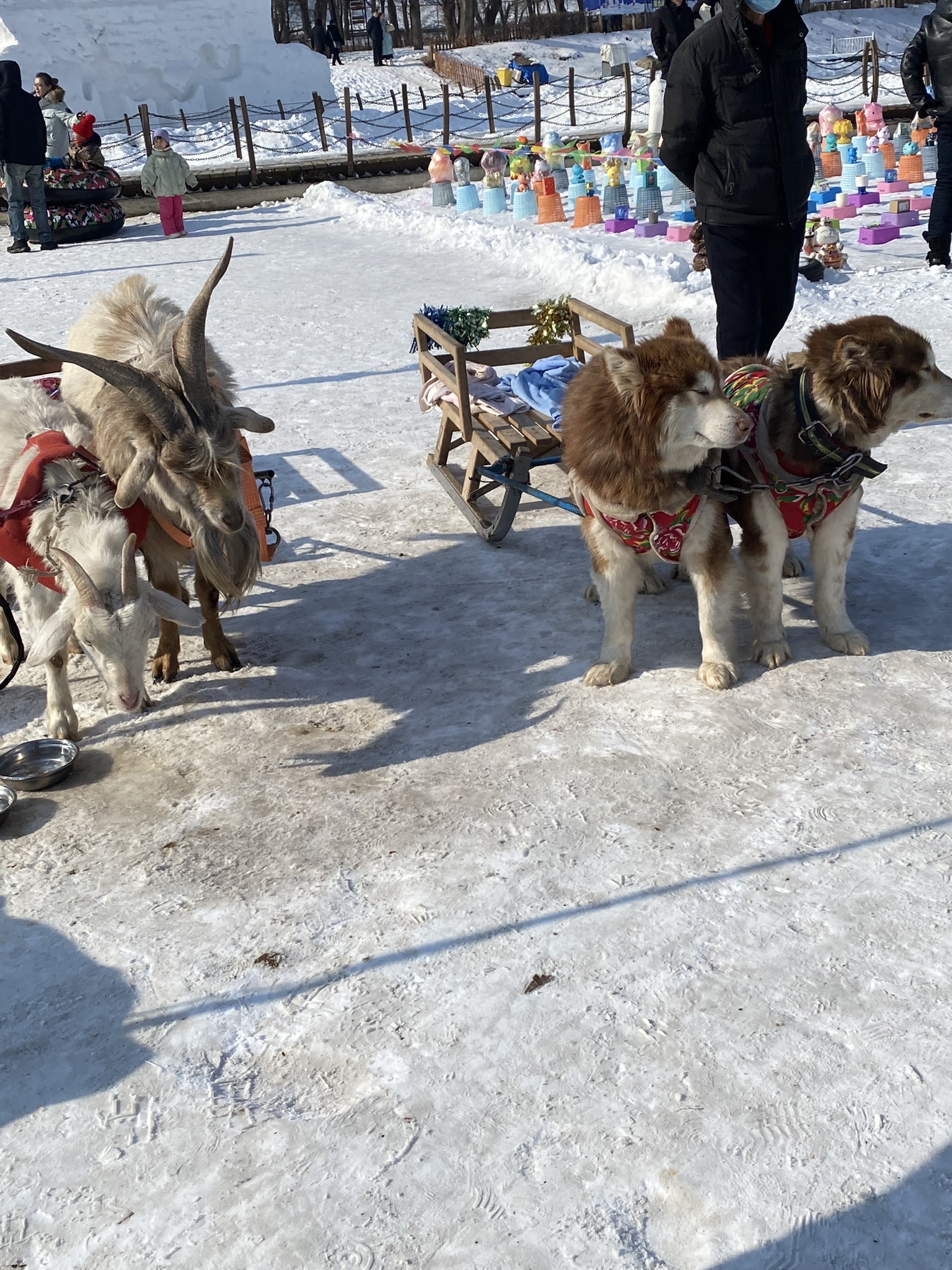 吉林乌喇公园旅行图片 3