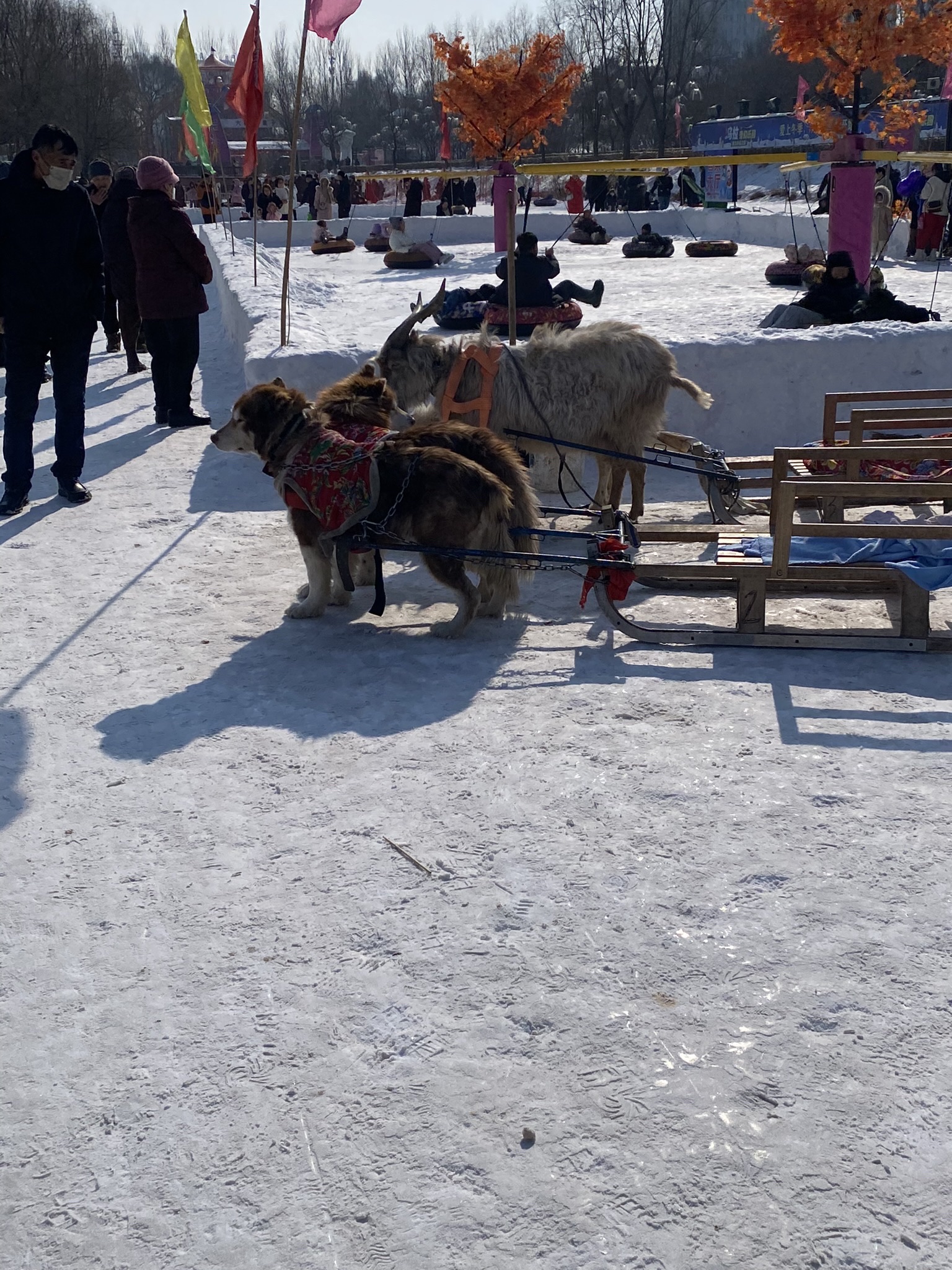 吉林乌喇公园旅行图片 2