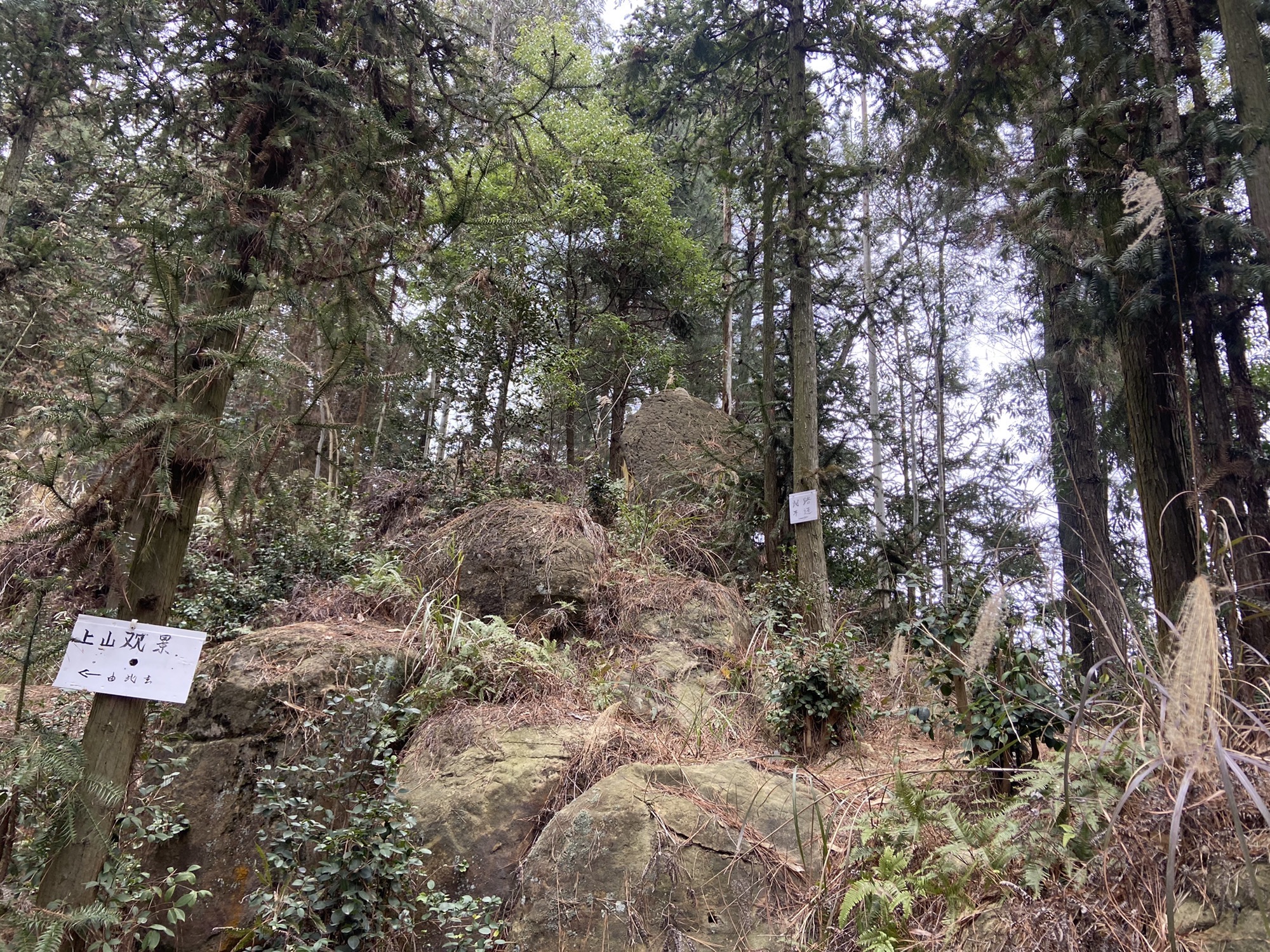 骑龙坳景区旅行图片 2
