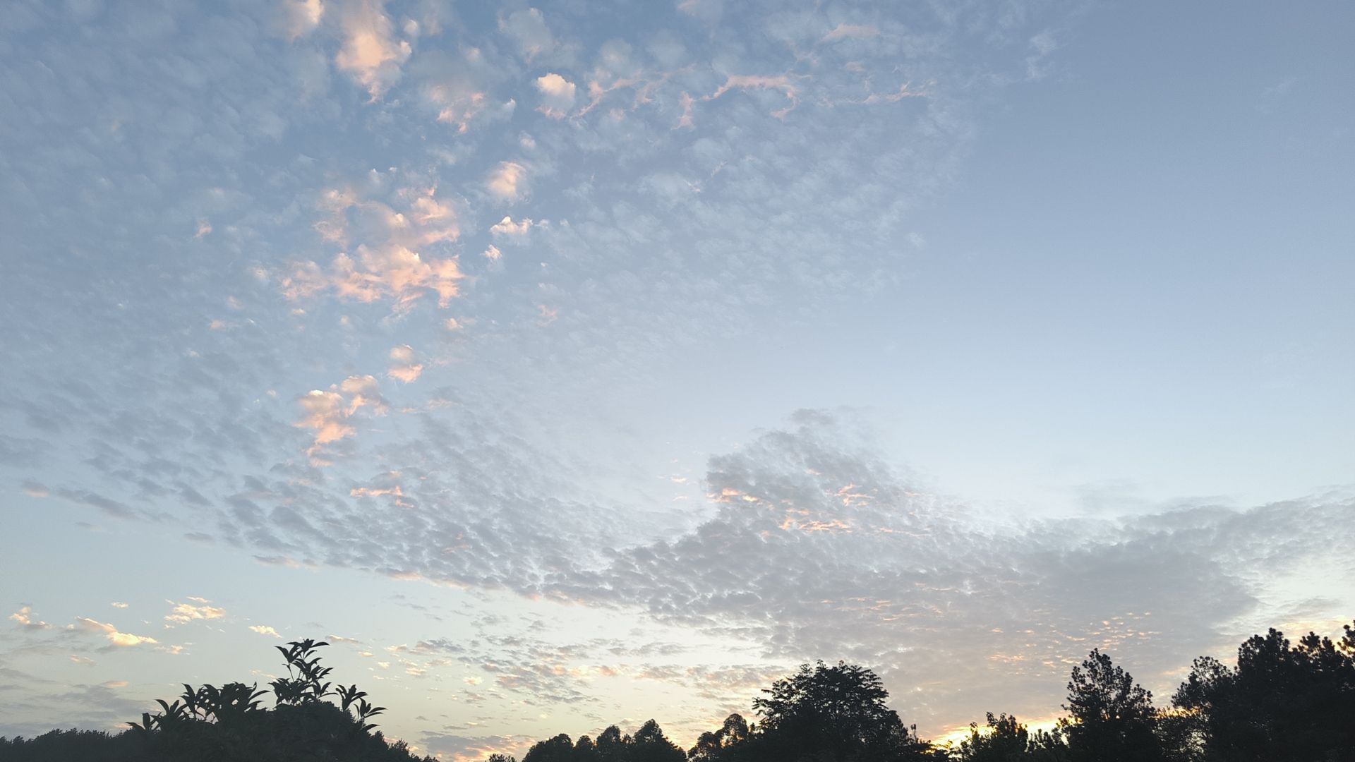 骑龙坳景区旅行图片 1
