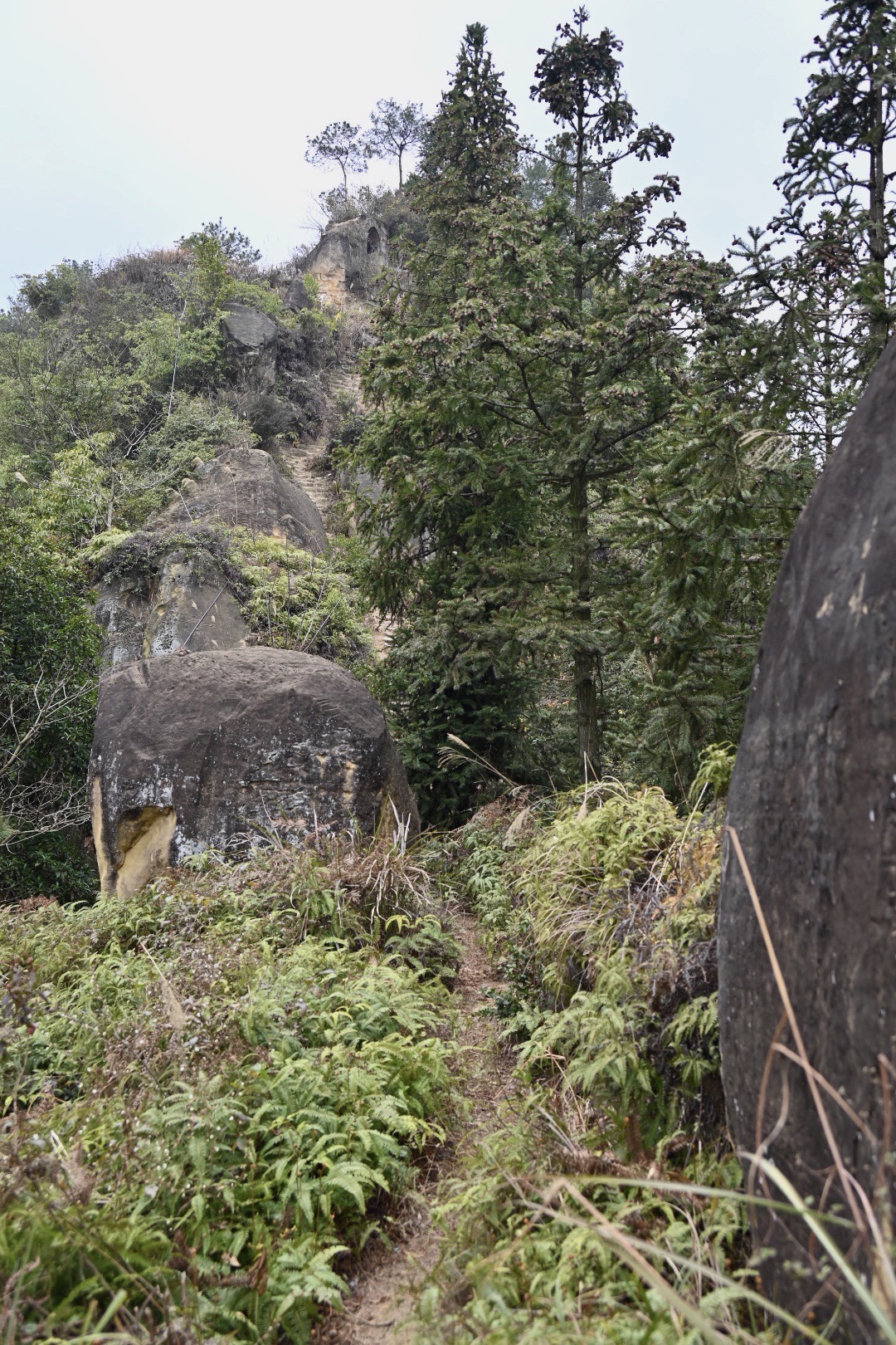 骑龙坳景区旅行图片 1