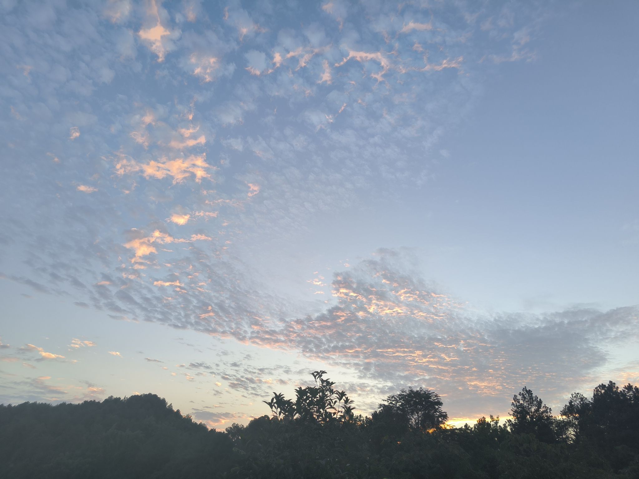 骑龙坳景区旅行图片 2