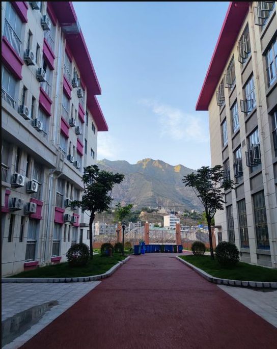 武都实验中学