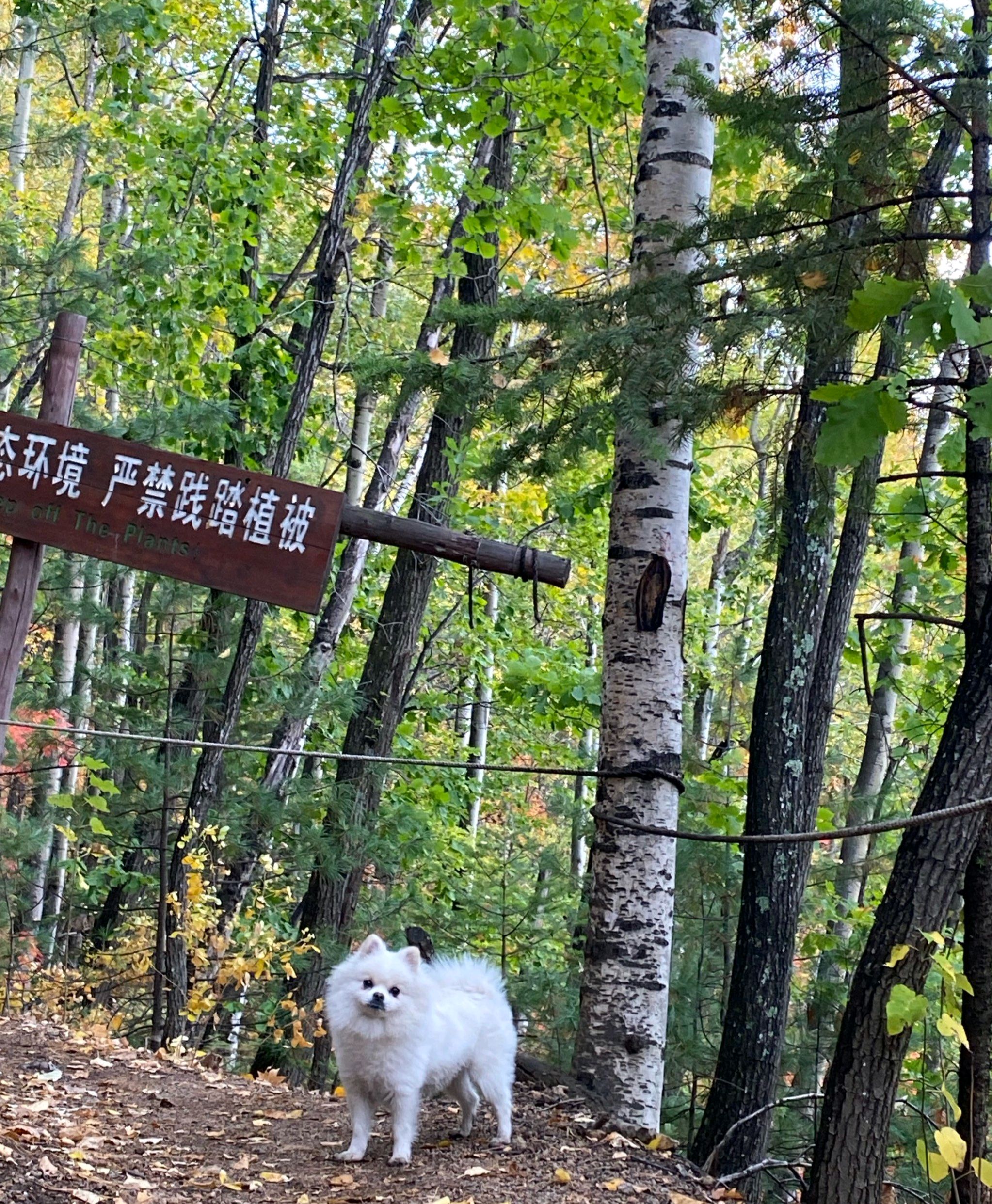 红石峰景区旅行图片 2