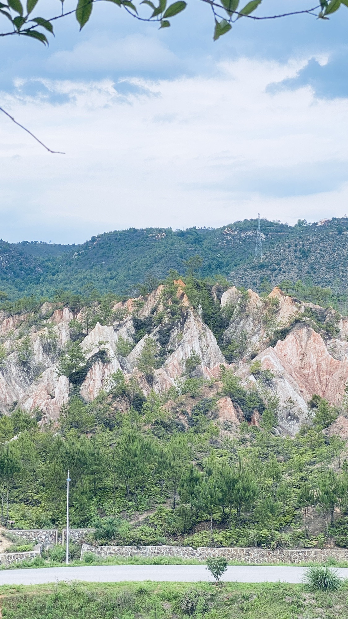 金桥村湿地公园旅行图片 3