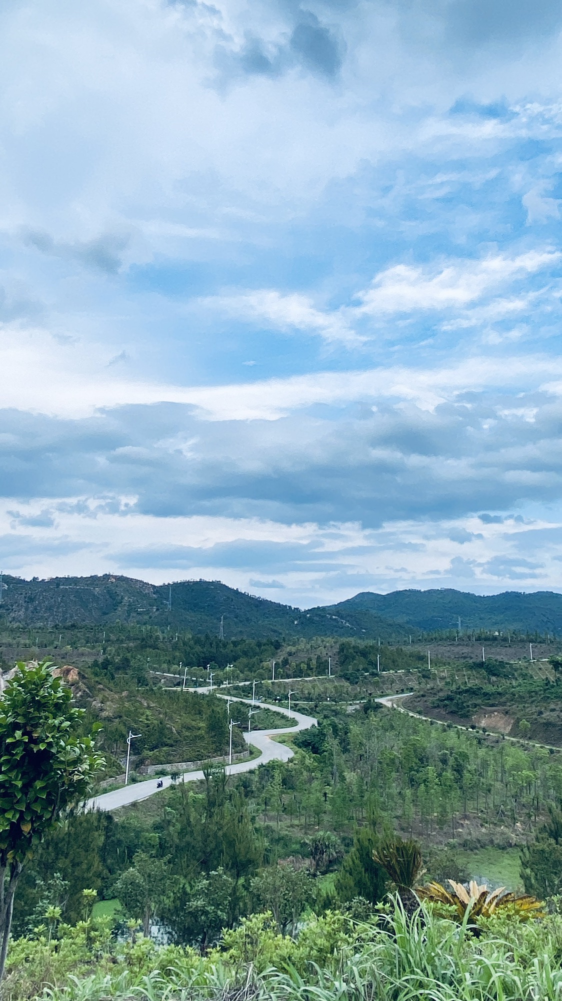 金桥村湿地公园旅行图片 1